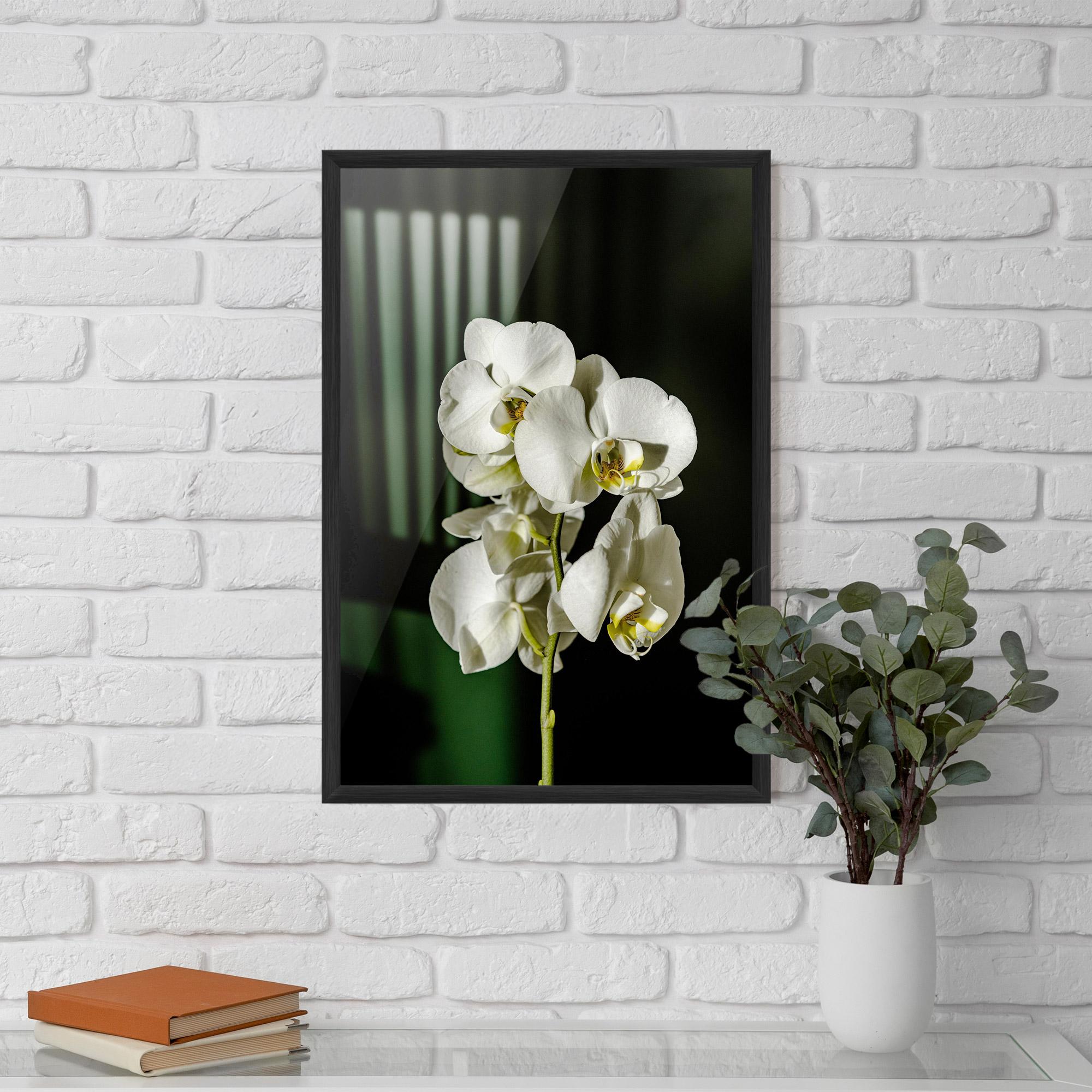 Keretezett Poszter Orchid On Green mockup 5
