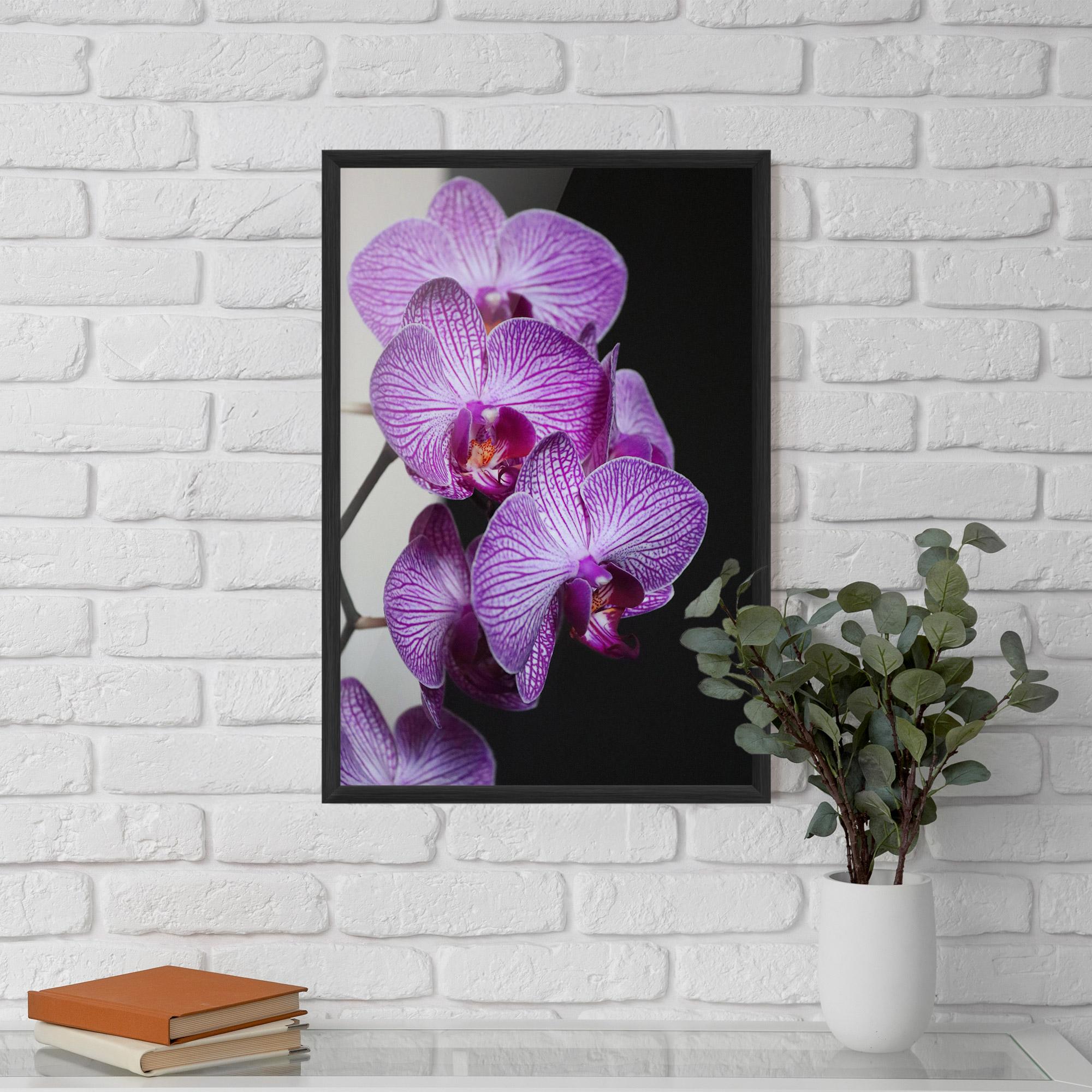 Keretezett Poszter Purple Orchid On Black mockup 5