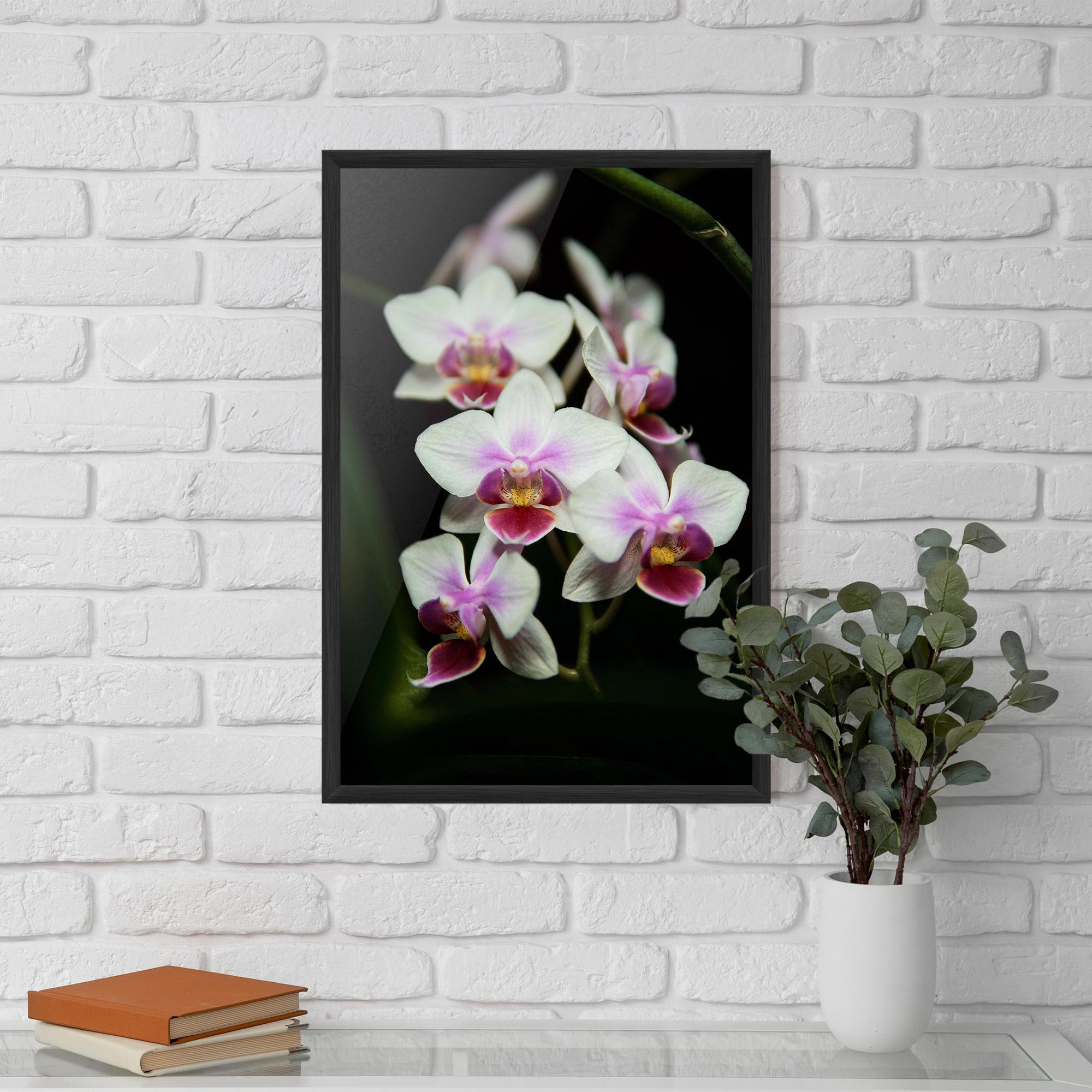 Keretezett Poszter Wild White Purple Orchid mockup 5