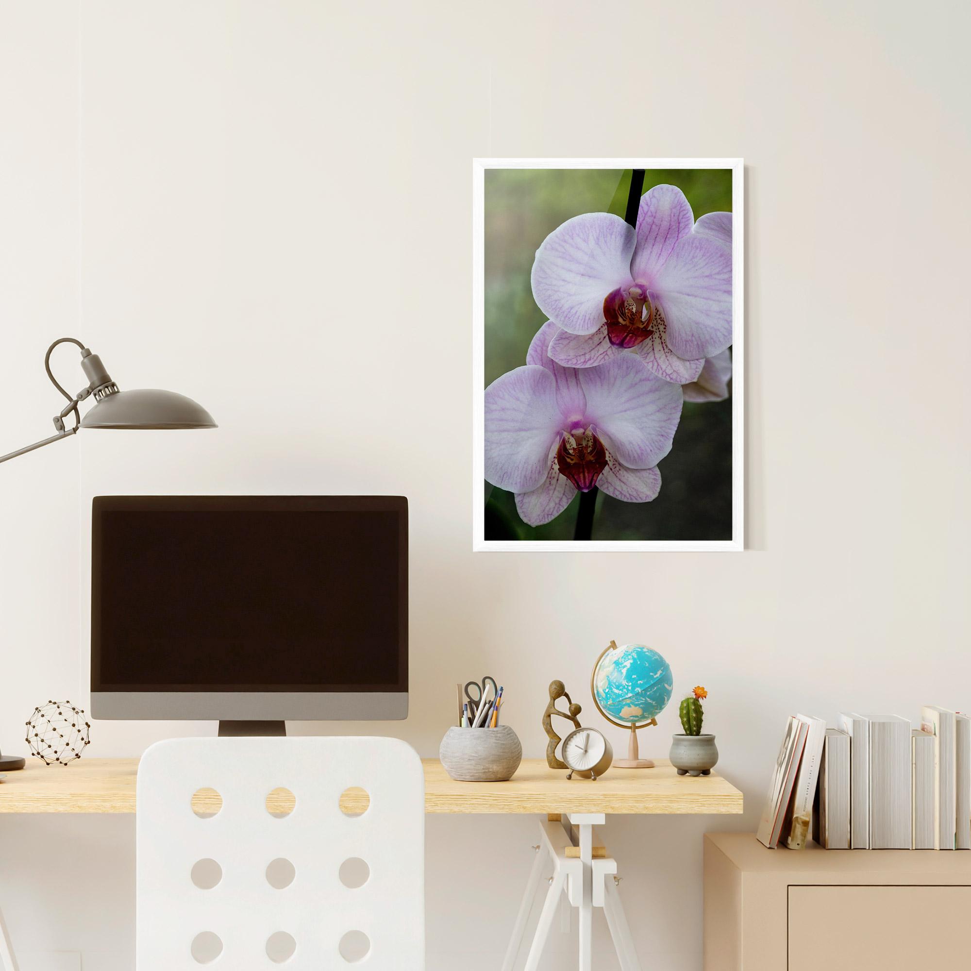 Keretezett Poszter Garden Light Purple Orchid mockup 6
