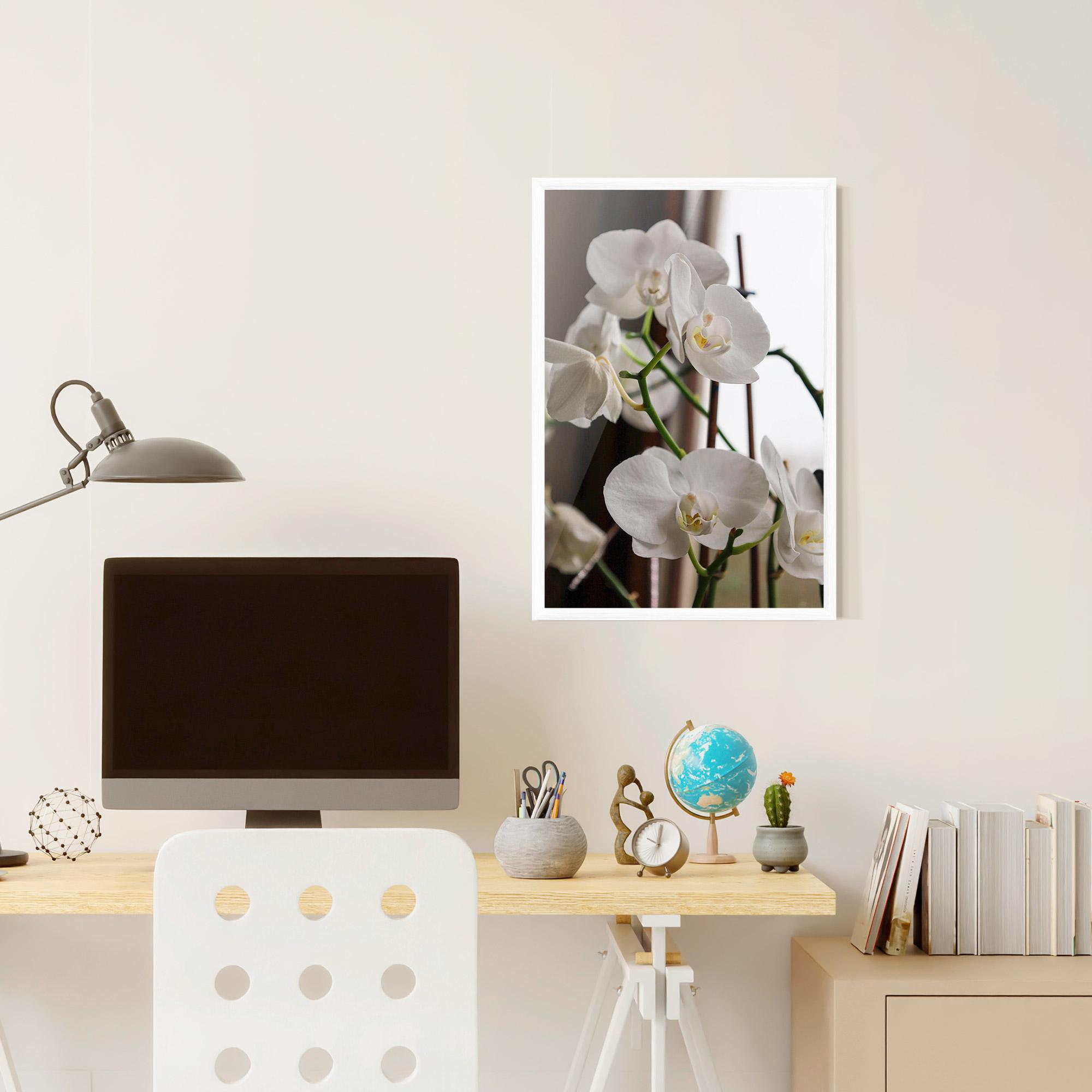 Keretezett Poszter White Orchid Growing mockup 6