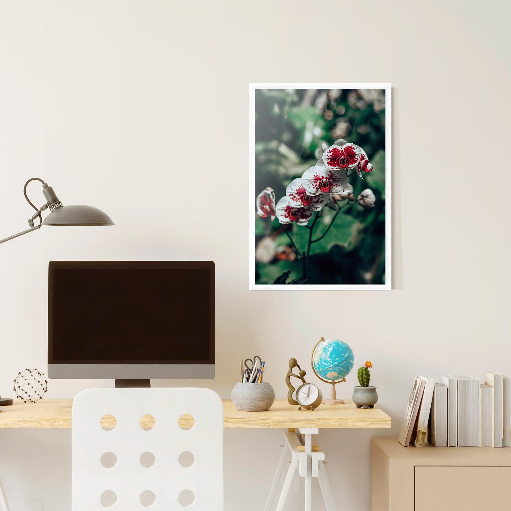 Keretezett Poszter White Red Orchid mockup 6