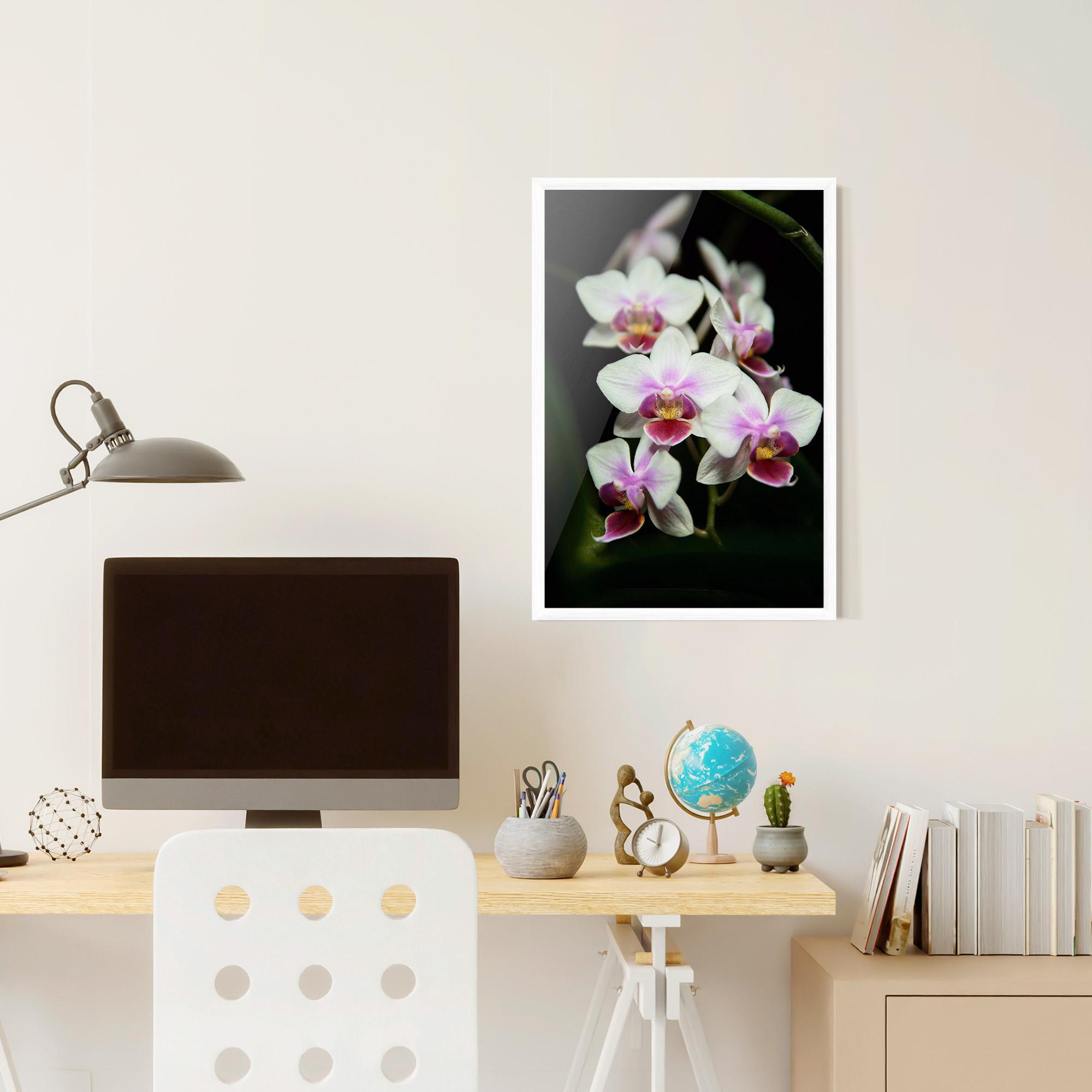 Keretezett Poszter Wild White Purple Orchid mockup 6