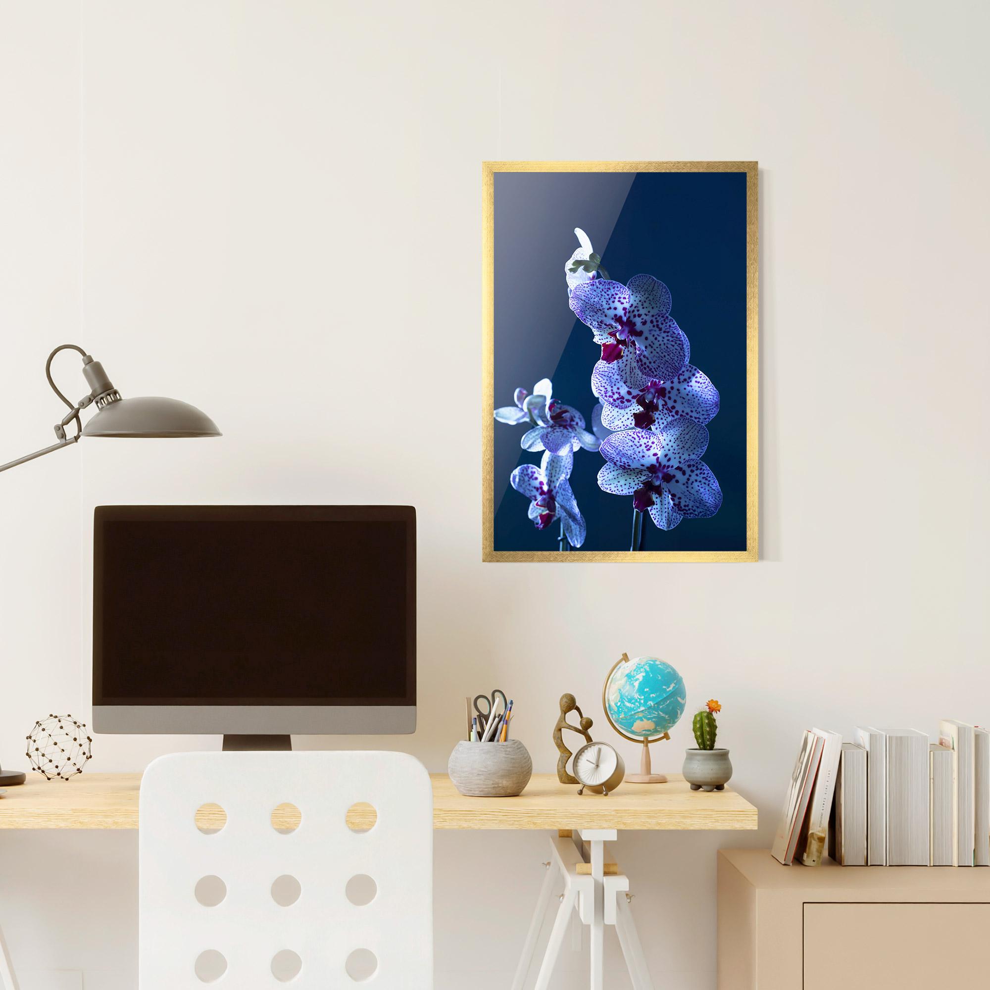 Keretezett Poszter Blue Light Orchid mockup 6