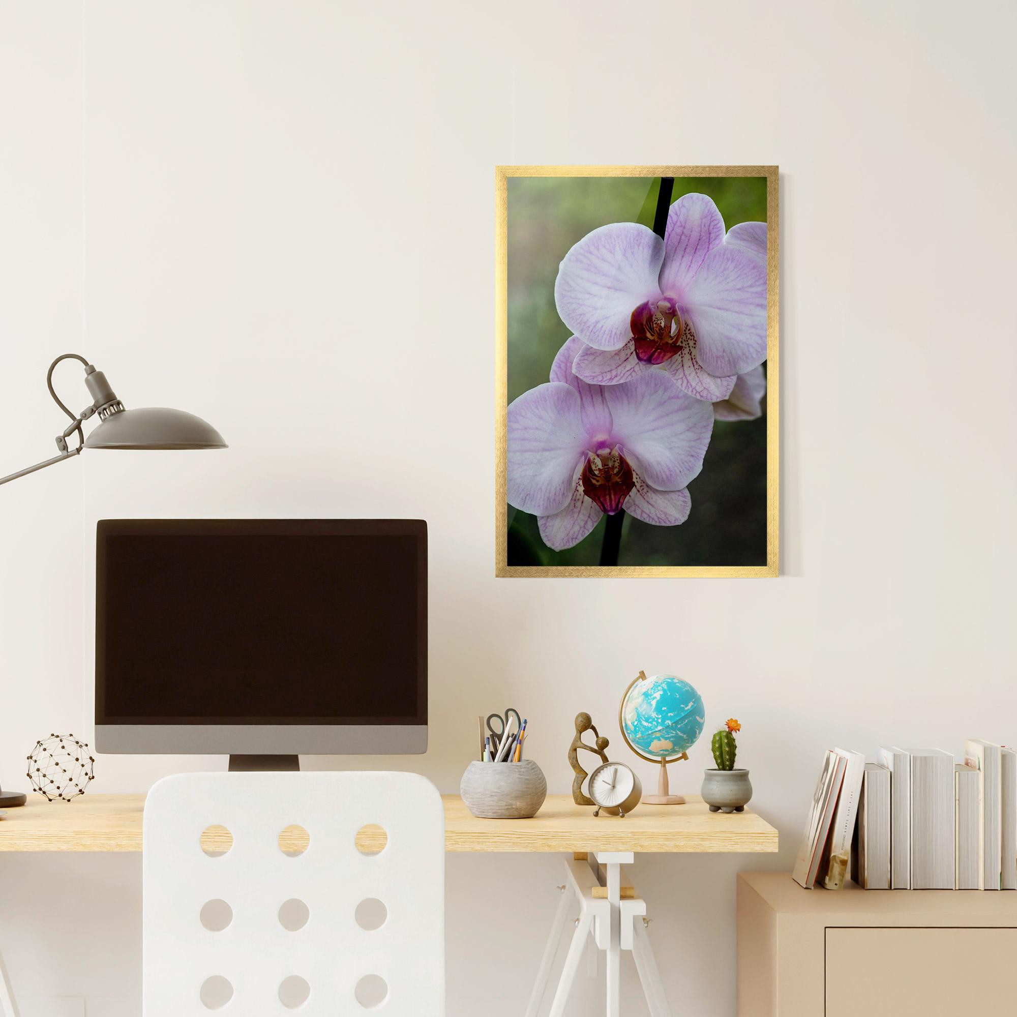 Keretezett Poszter Garden Light Purple Orchid mockup 6