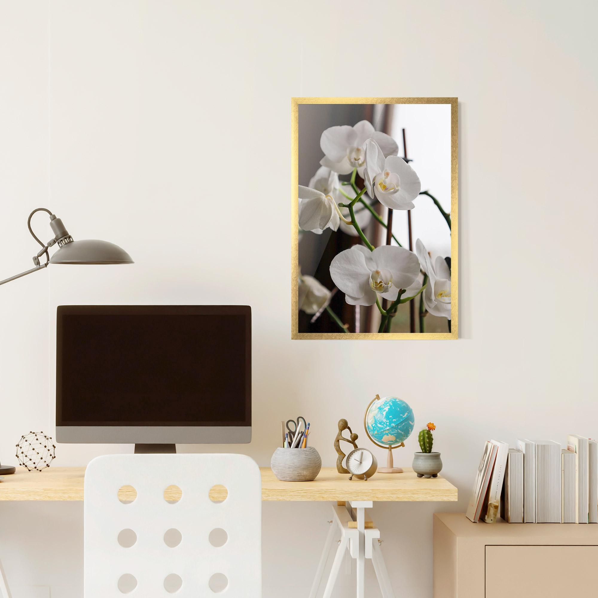Keretezett Poszter White Orchid Growing mockup 6