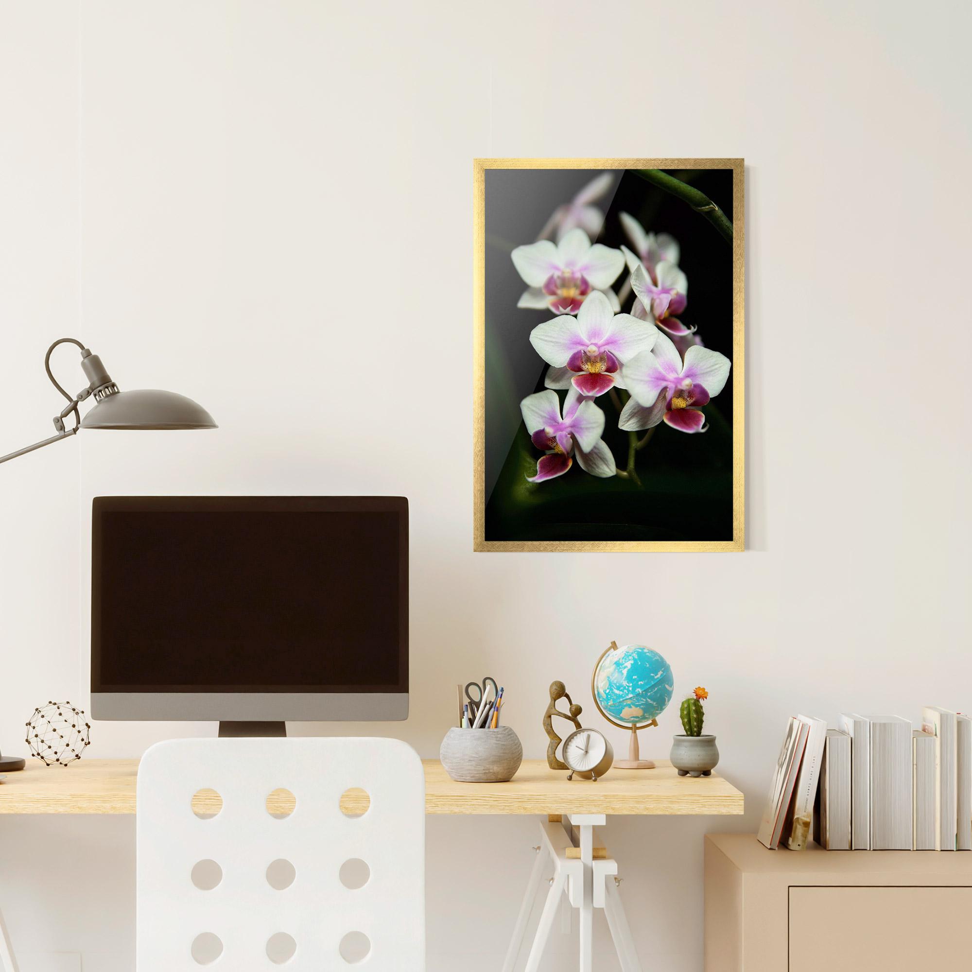 Keretezett Poszter Wild White Purple Orchid mockup 6