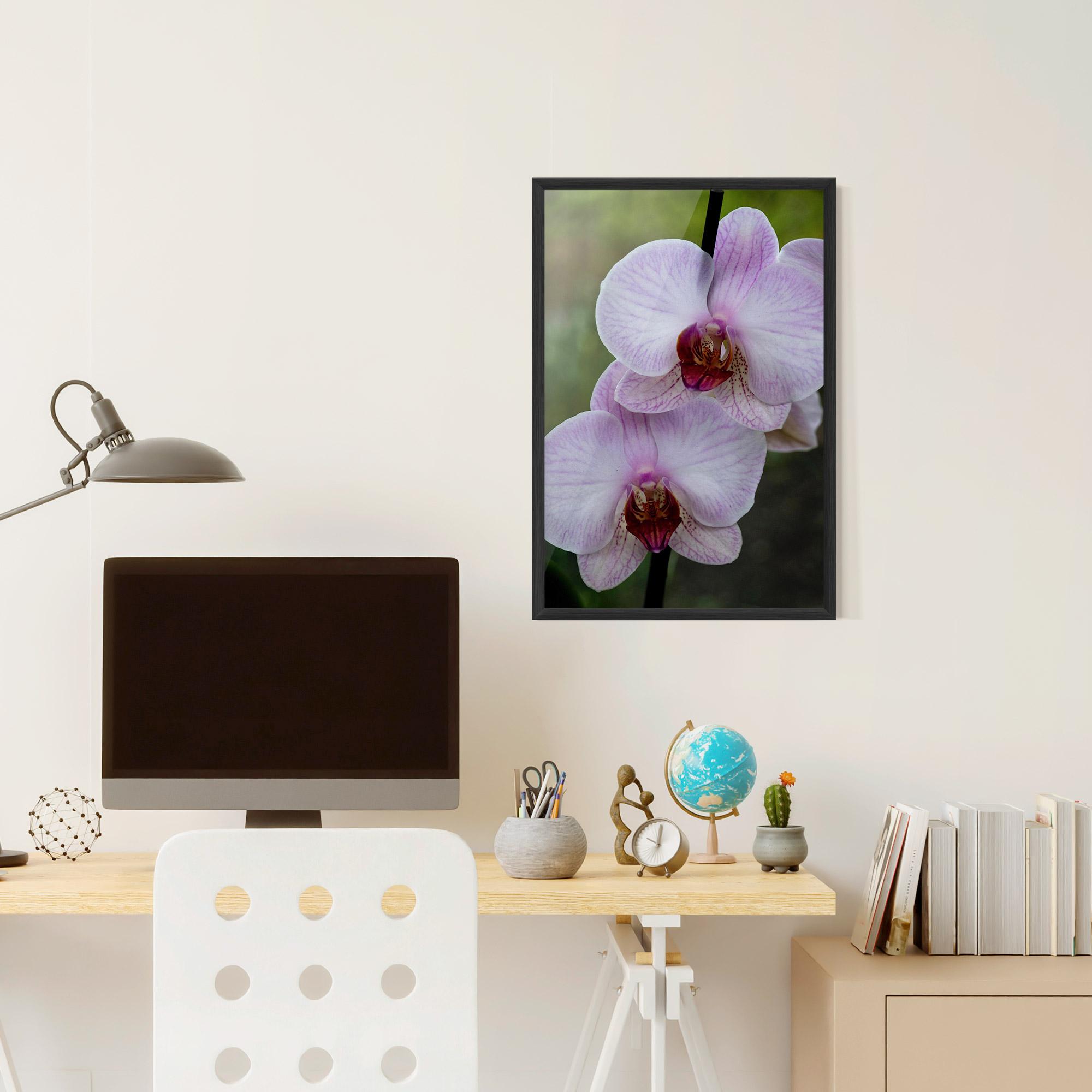 Keretezett Poszter Garden Light Purple Orchid mockup 6