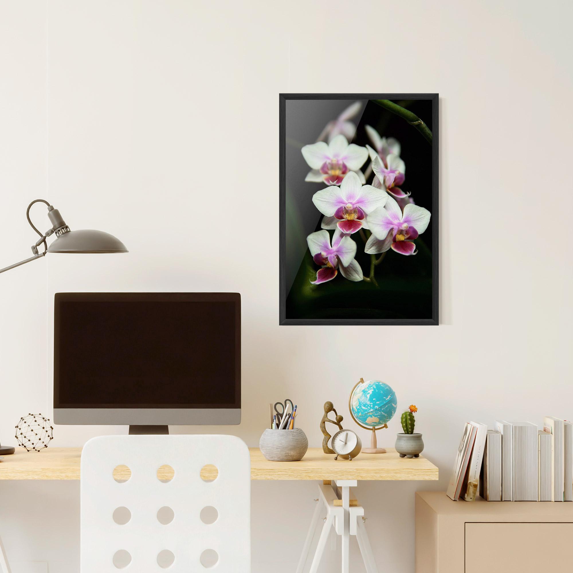 Keretezett Poszter Wild White Purple Orchid mockup 6