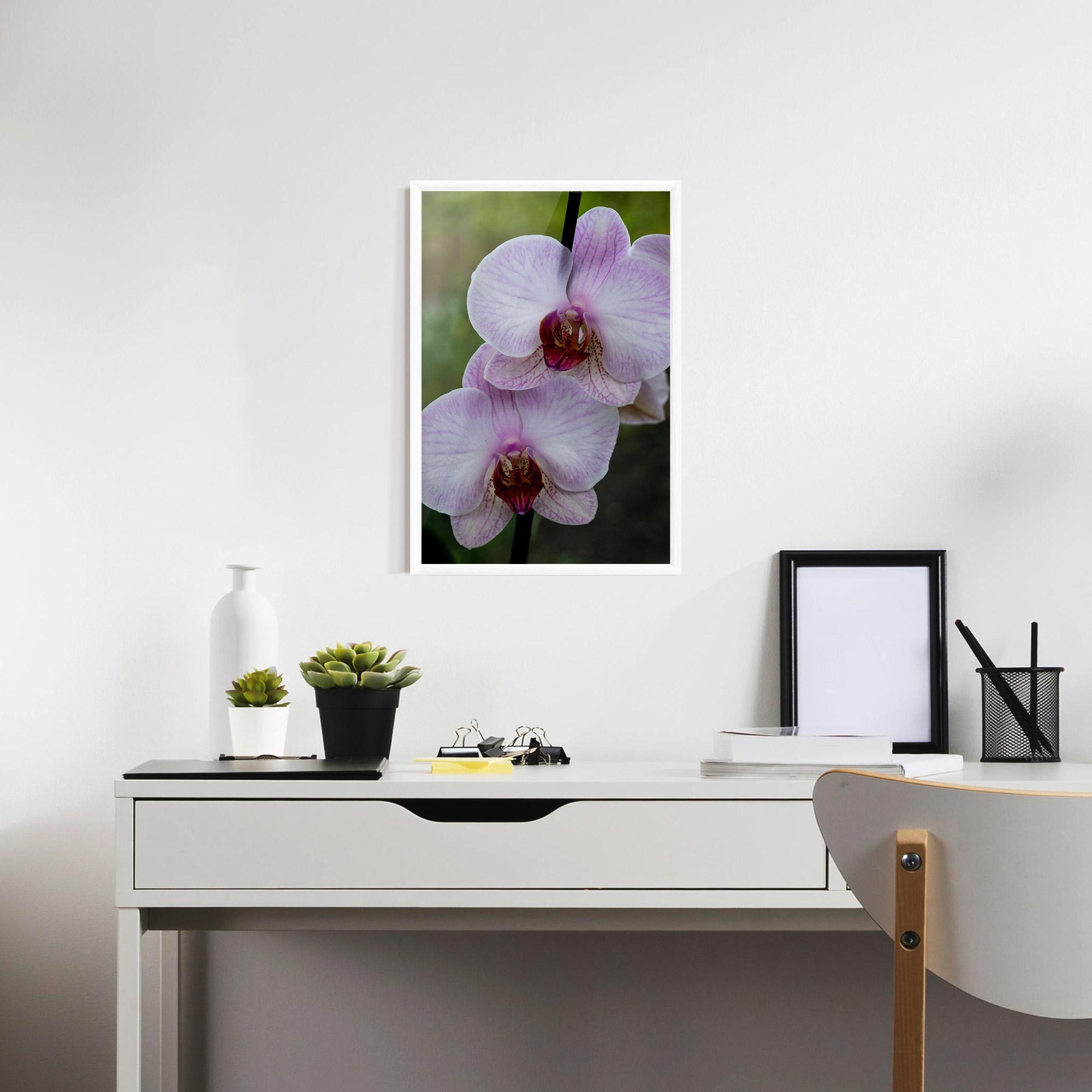 Keretezett Poszter Garden Light Purple Orchid mockup 7