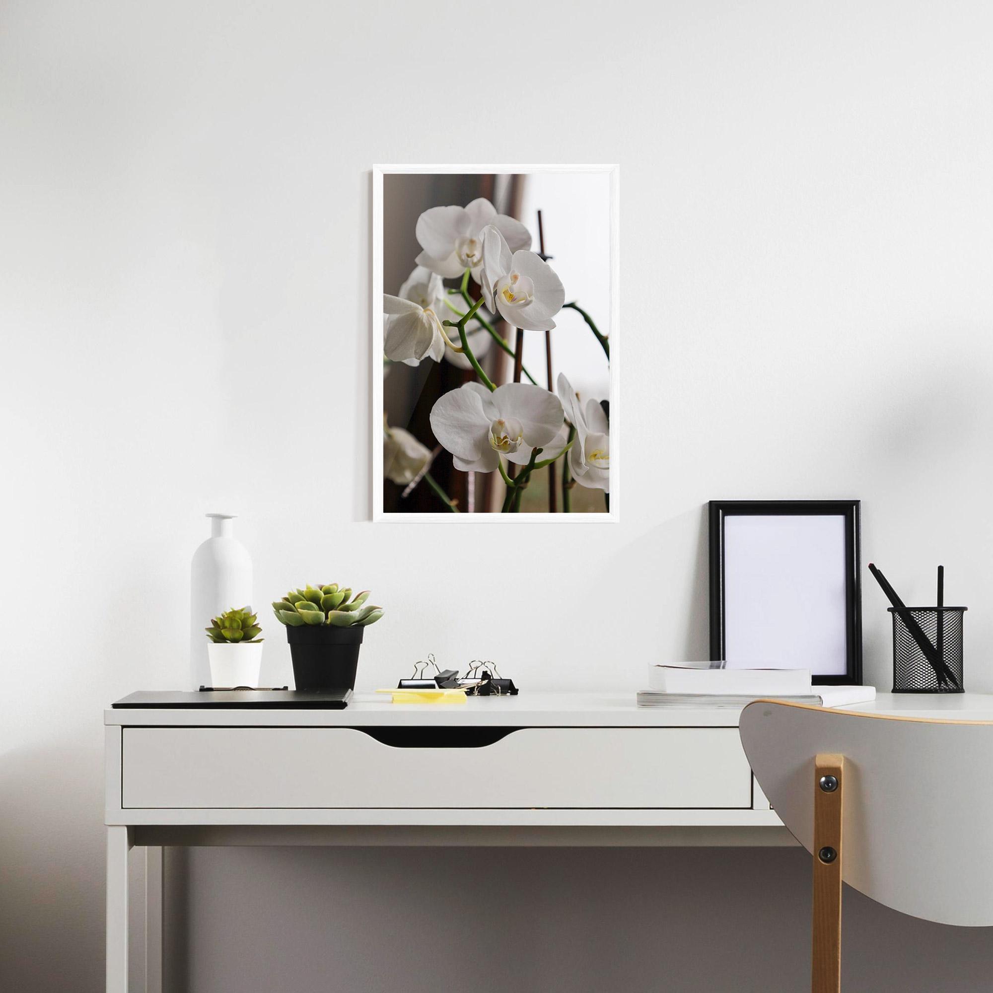 Keretezett Poszter White Orchid Growing mockup 7
