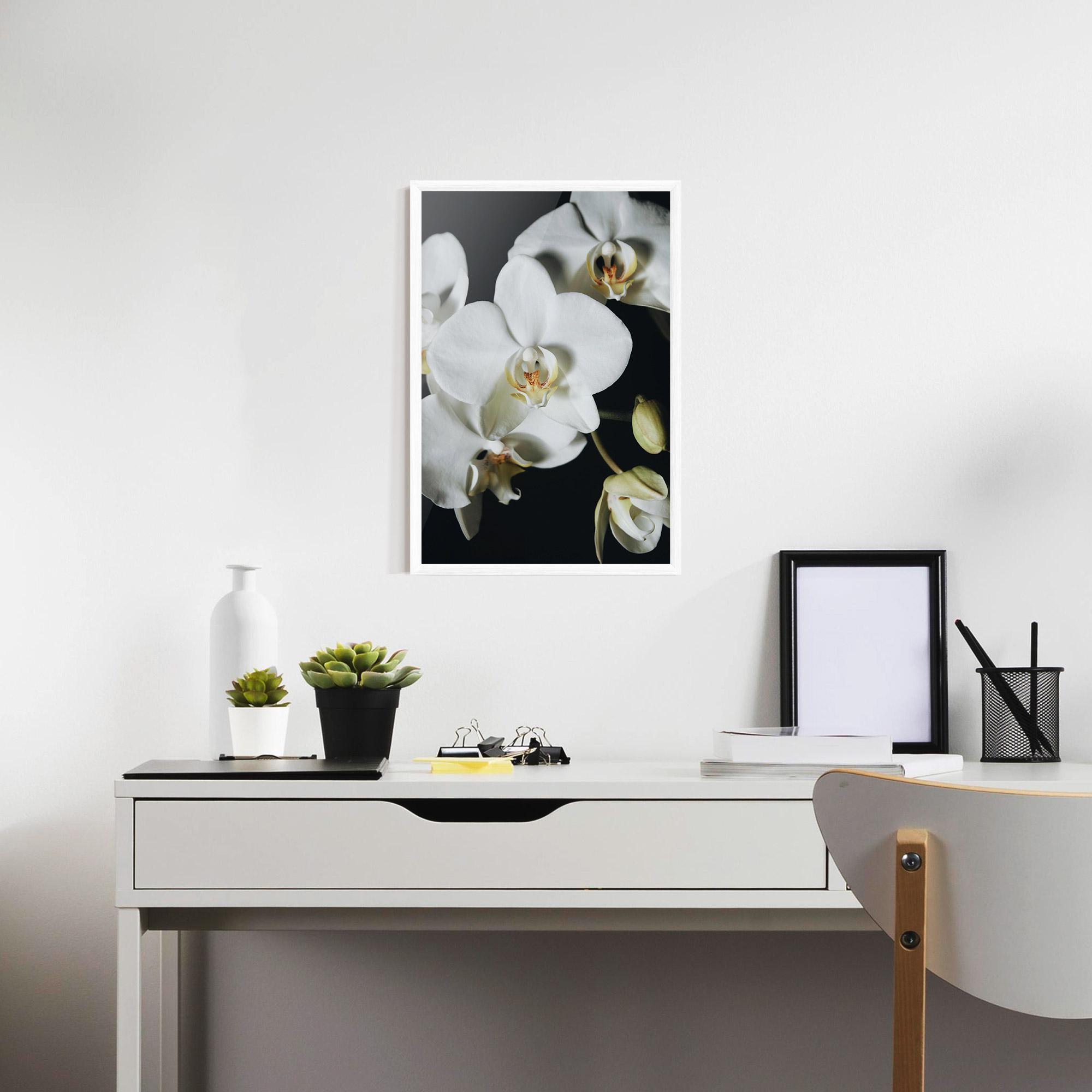 Keretezett Poszter White Orchid On Black mockup 7