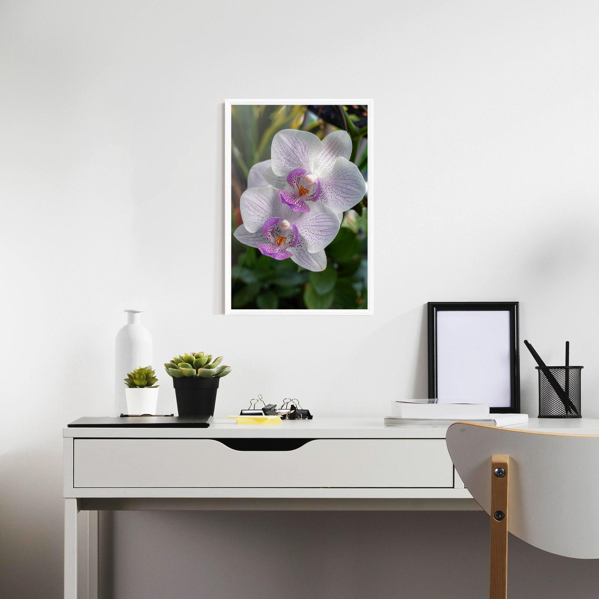Keretezett Poszter White Orchids mockup 7