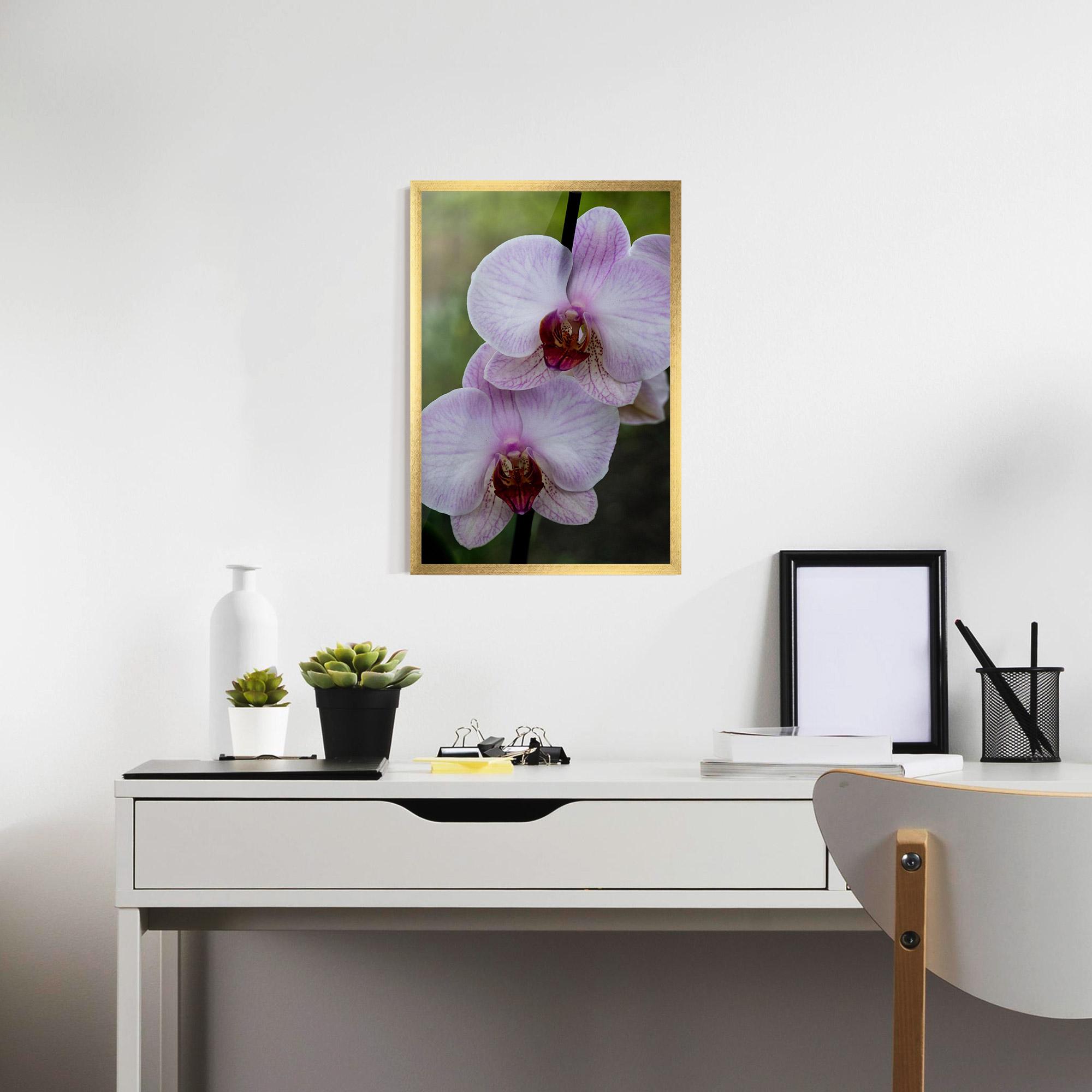 Keretezett Poszter Garden Light Purple Orchid mockup 7