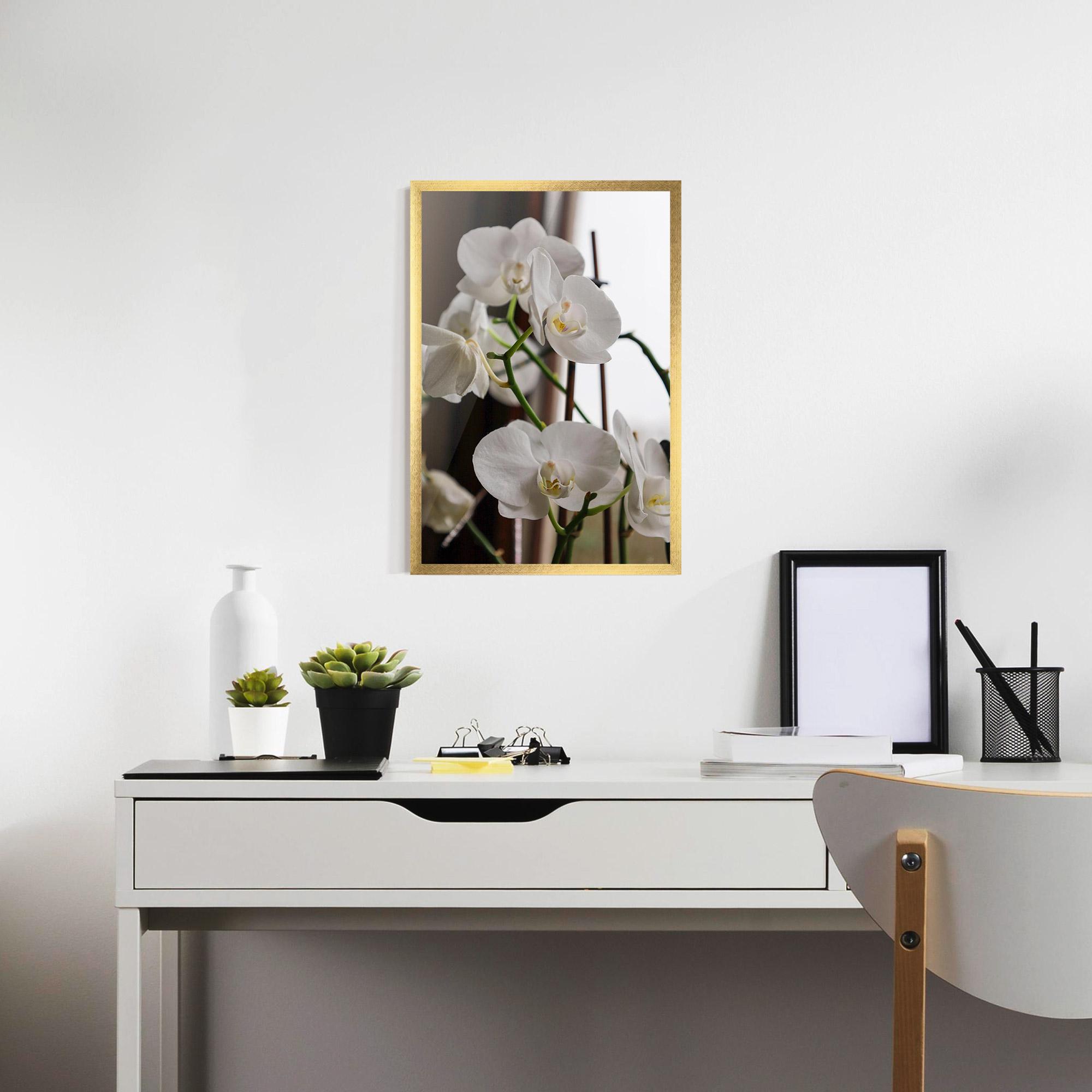 Keretezett Poszter White Orchid Growing mockup 7