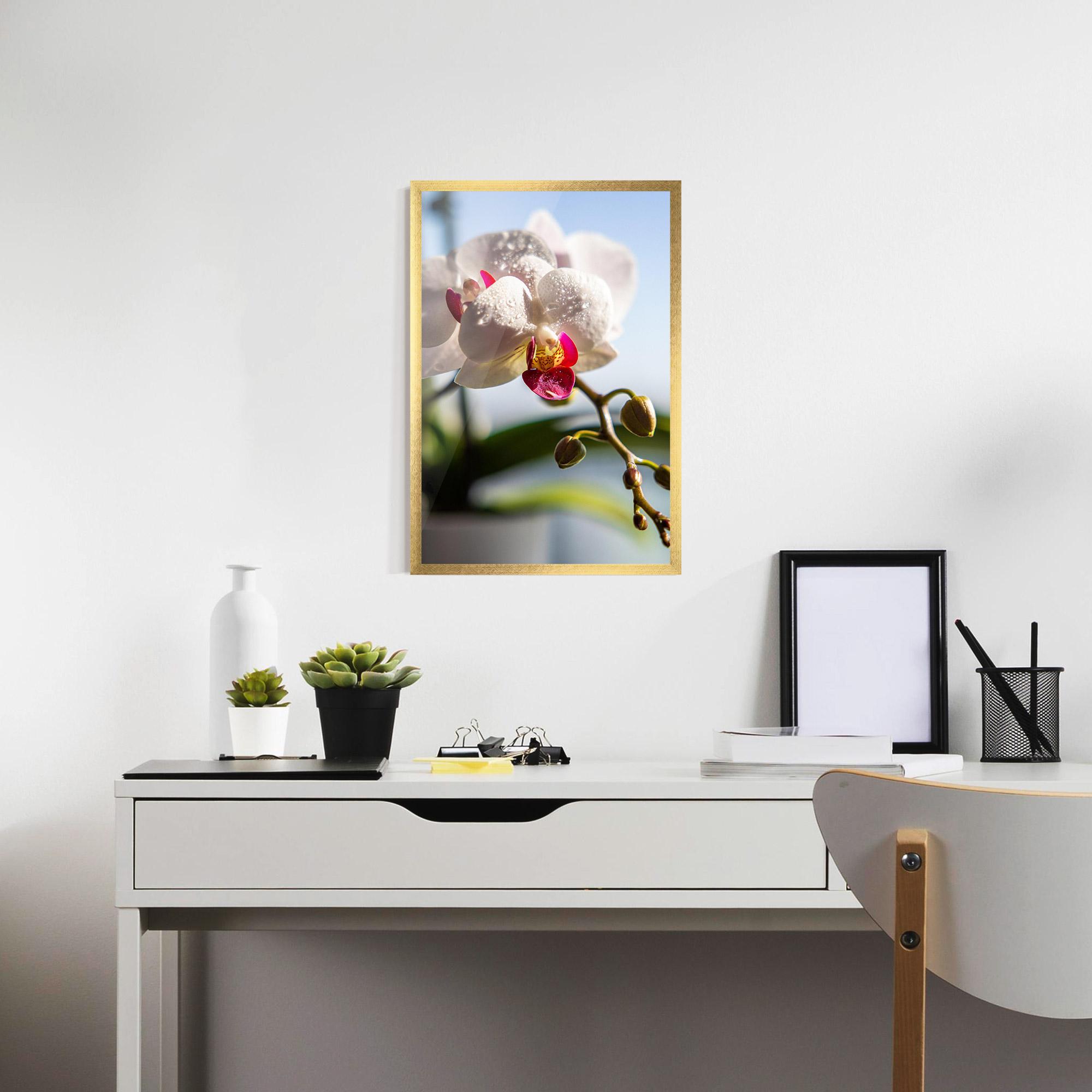 Keretezett Poszter White Orchid With Water mockup 7