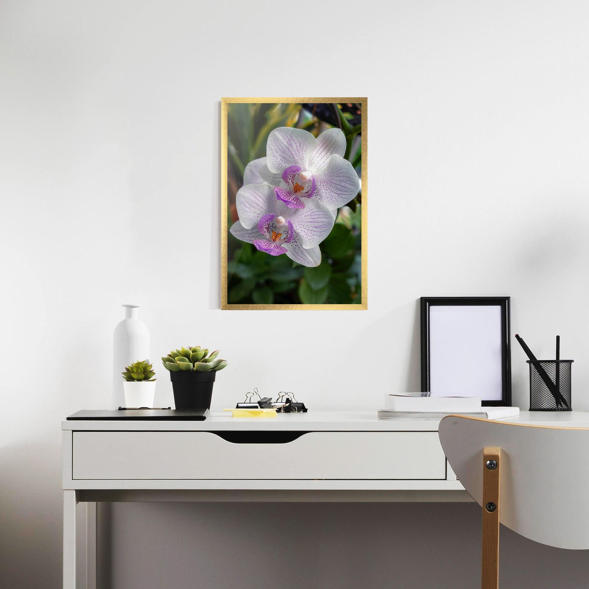 Keretezett Poszter White Orchids mockup 7