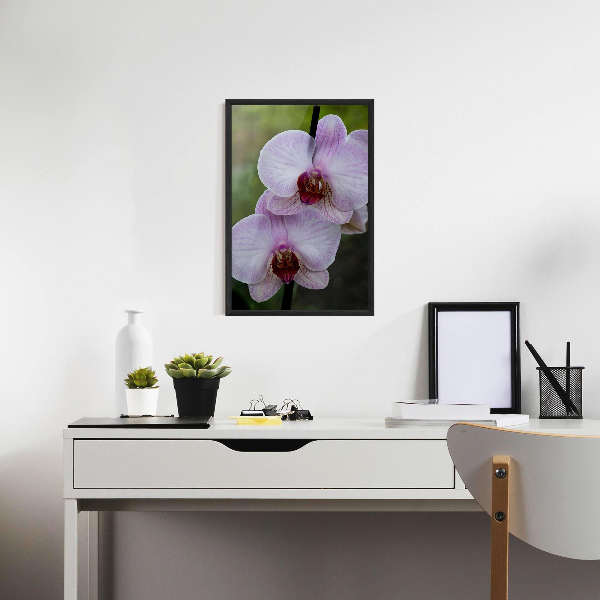 Keretezett Poszter Garden Light Purple Orchid mockup 7
