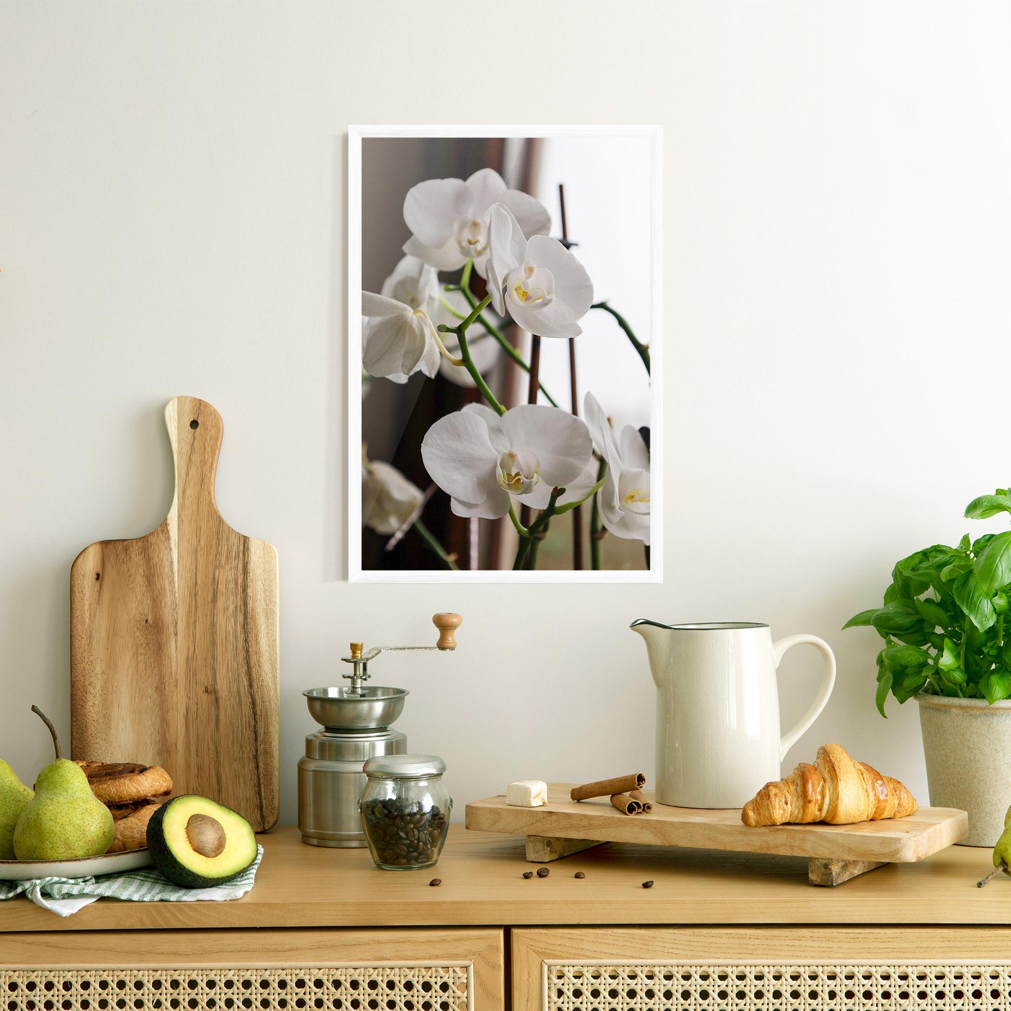 Keretezett Poszter White Orchid Growing mockup 8