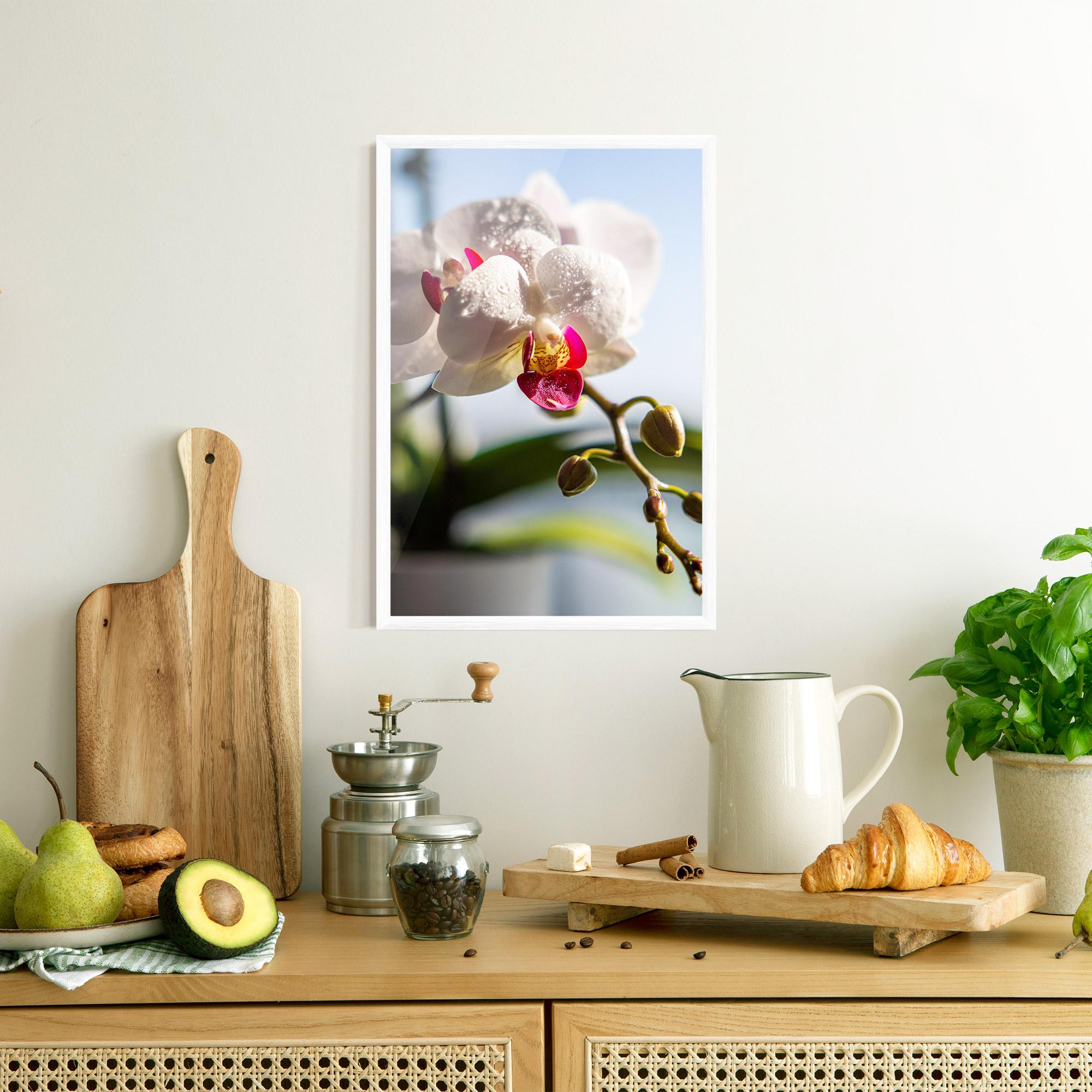 Keretezett Poszter White Orchid With Water mockup 8