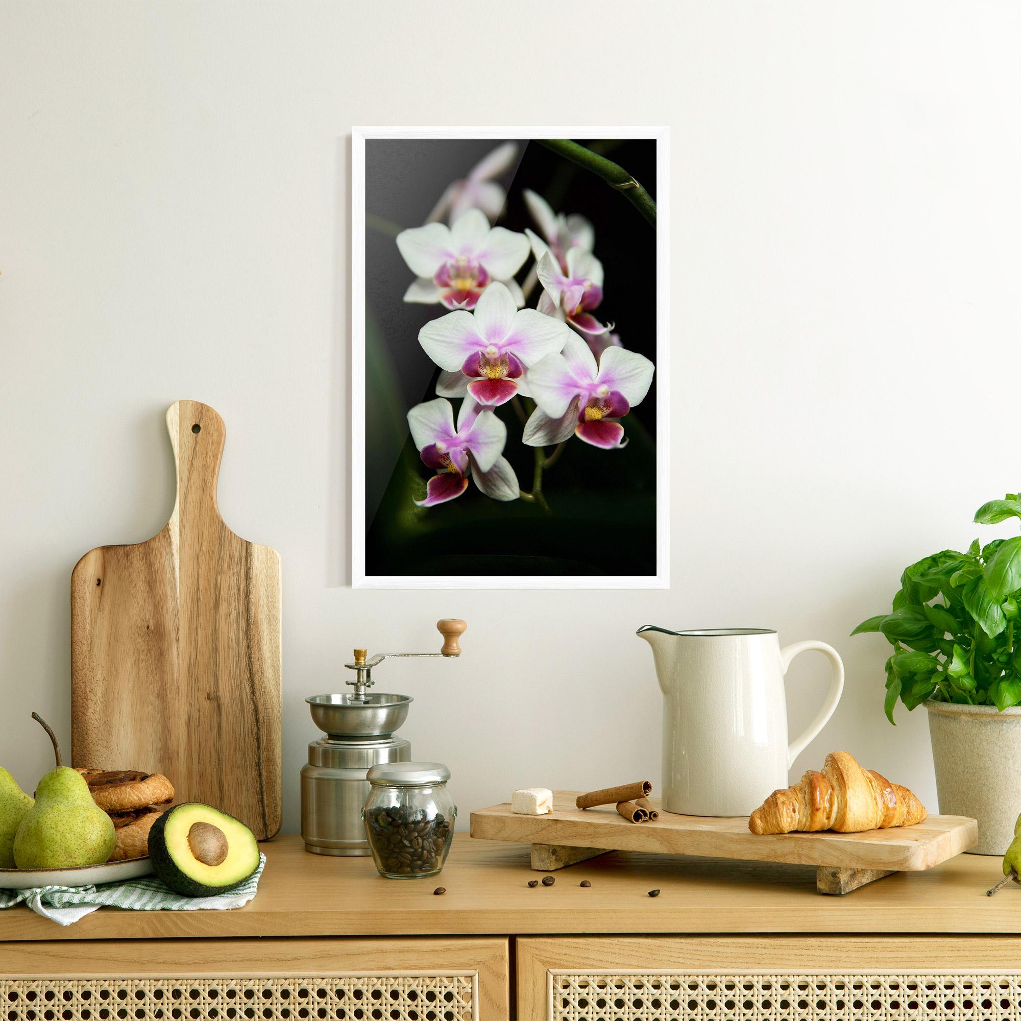 Keretezett Poszter Wild White Purple Orchid mockup 8