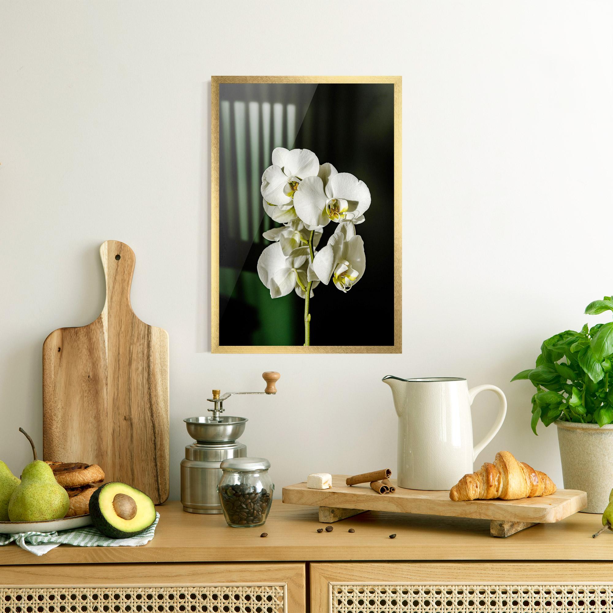 Keretezett Poszter Orchid On Green mockup 8
