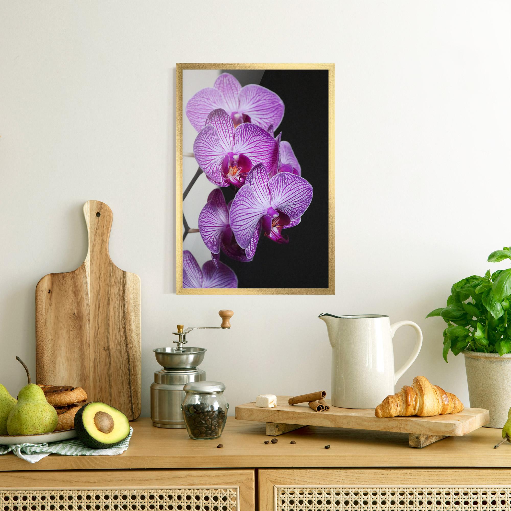 Keretezett Poszter Purple Orchid On Black mockup 8