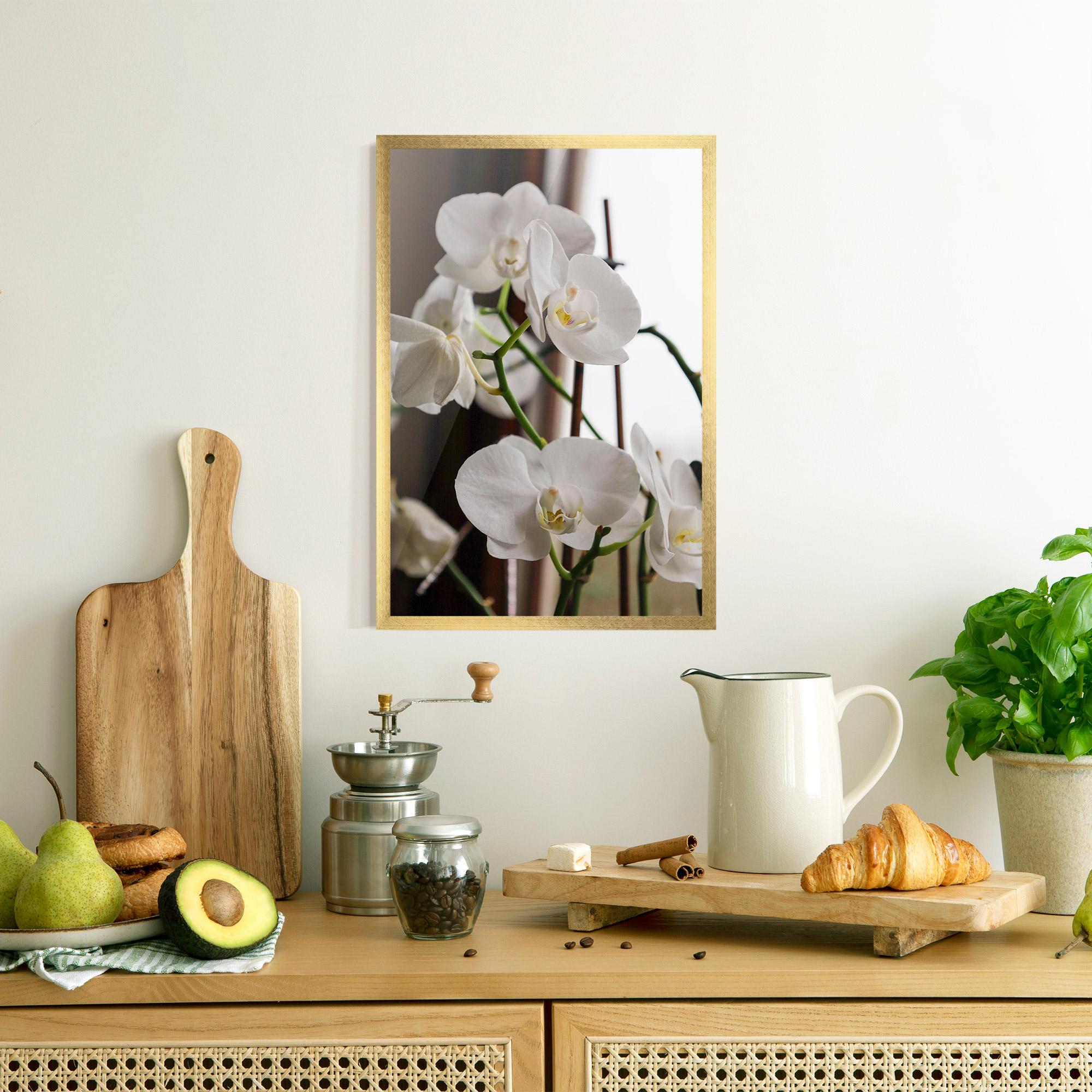 Keretezett Poszter White Orchid Growing mockup 8