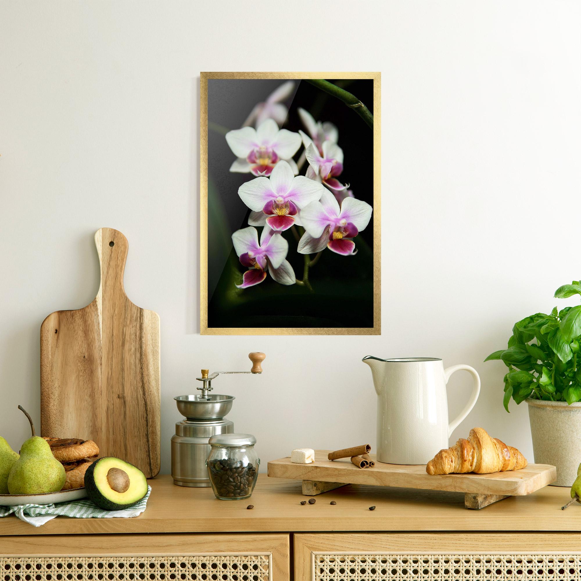 Keretezett Poszter Wild White Purple Orchid mockup 8