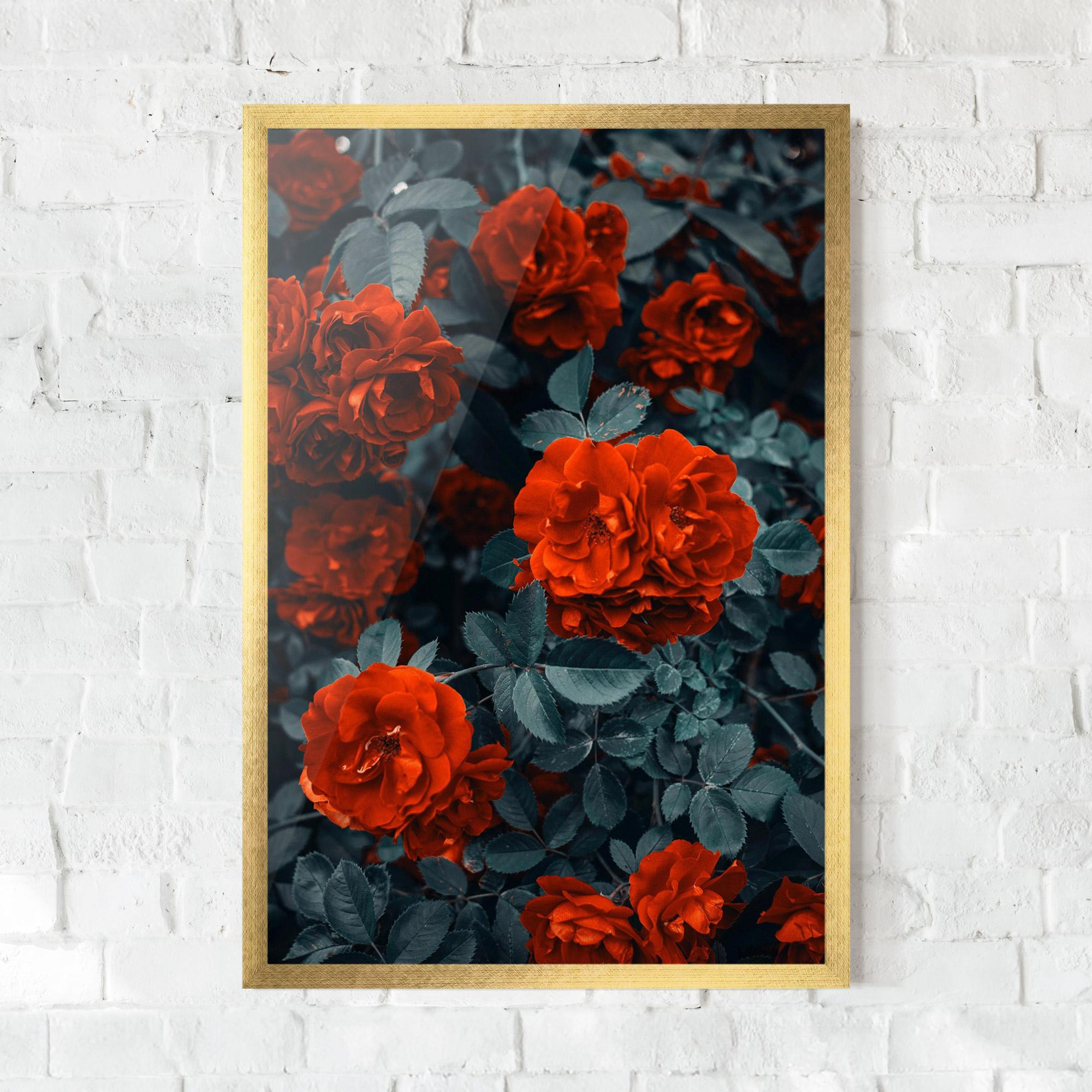 Keretezett Poszter Bright Red Rose mockup 0