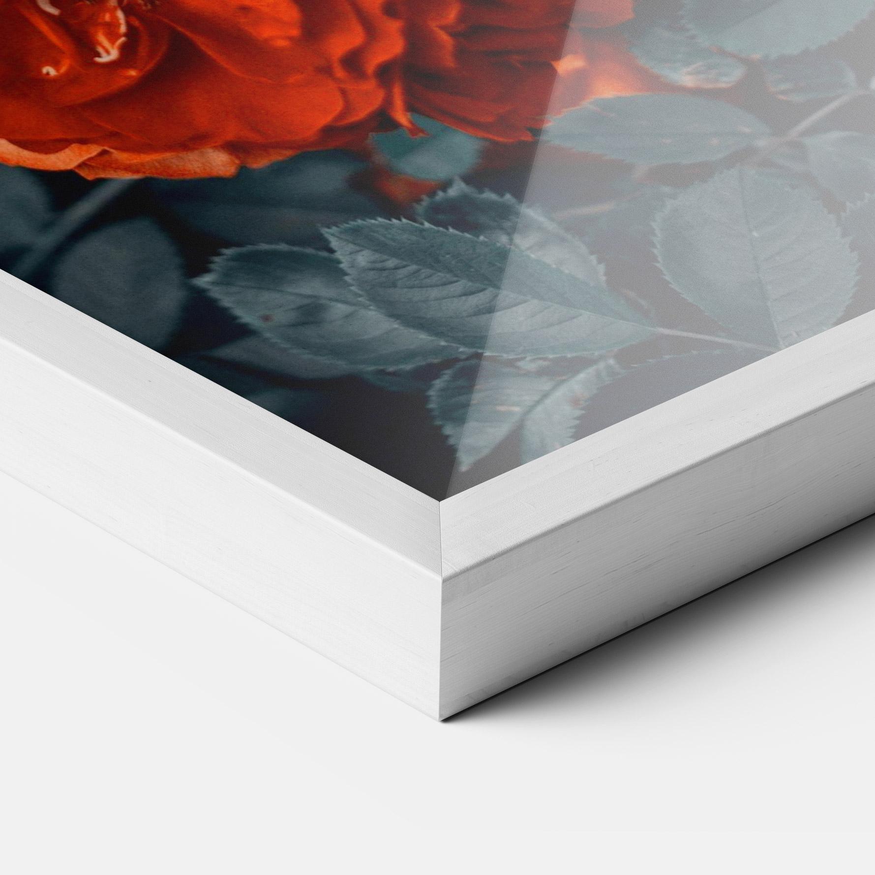 Keretezett Poszter Bright Red Rose mockup 3