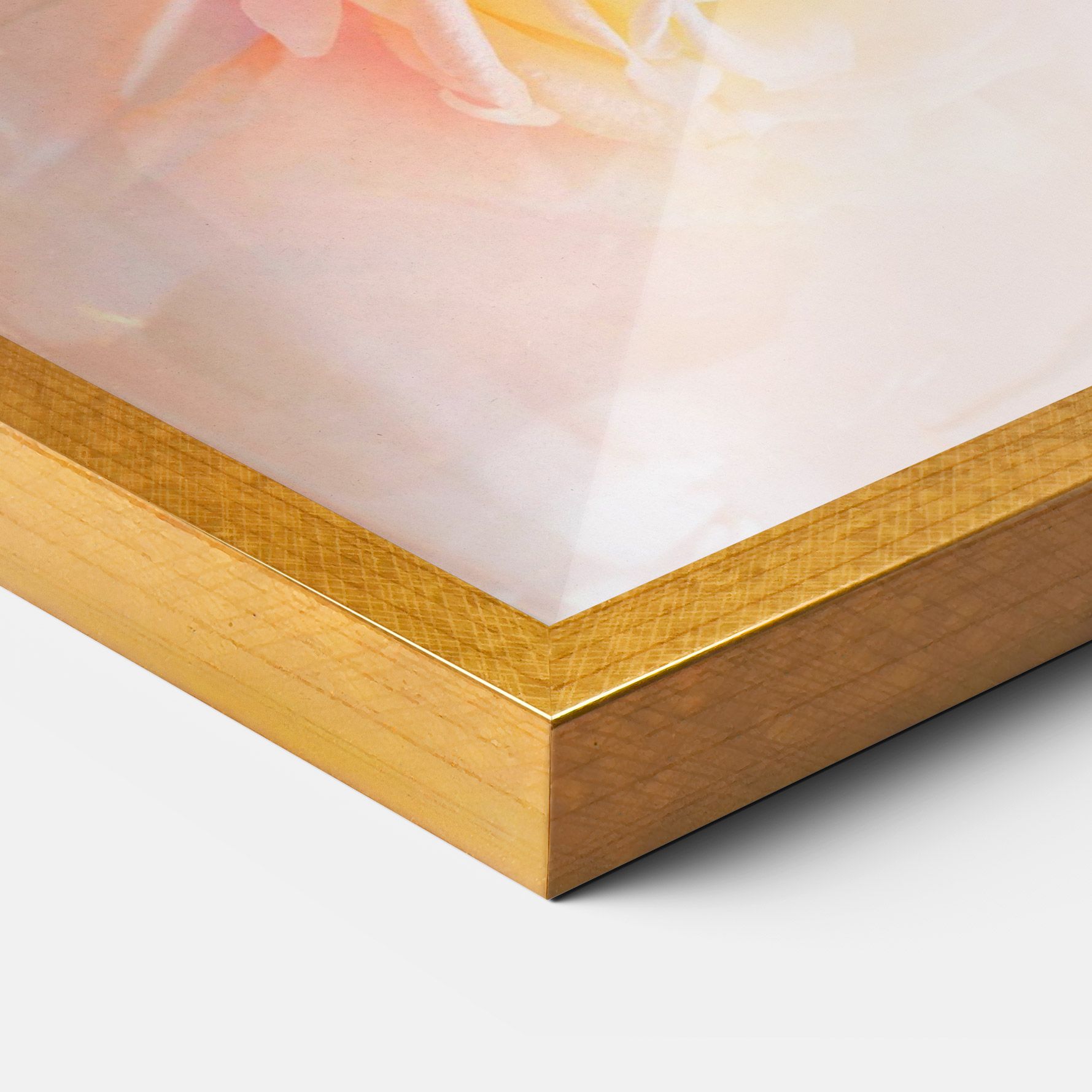 Pastel Color Roses mockup 3