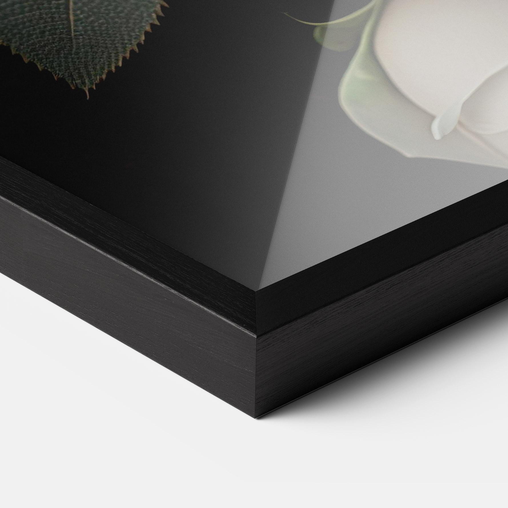 Keretezett Poszter Cream Roses Close Up mockup 3