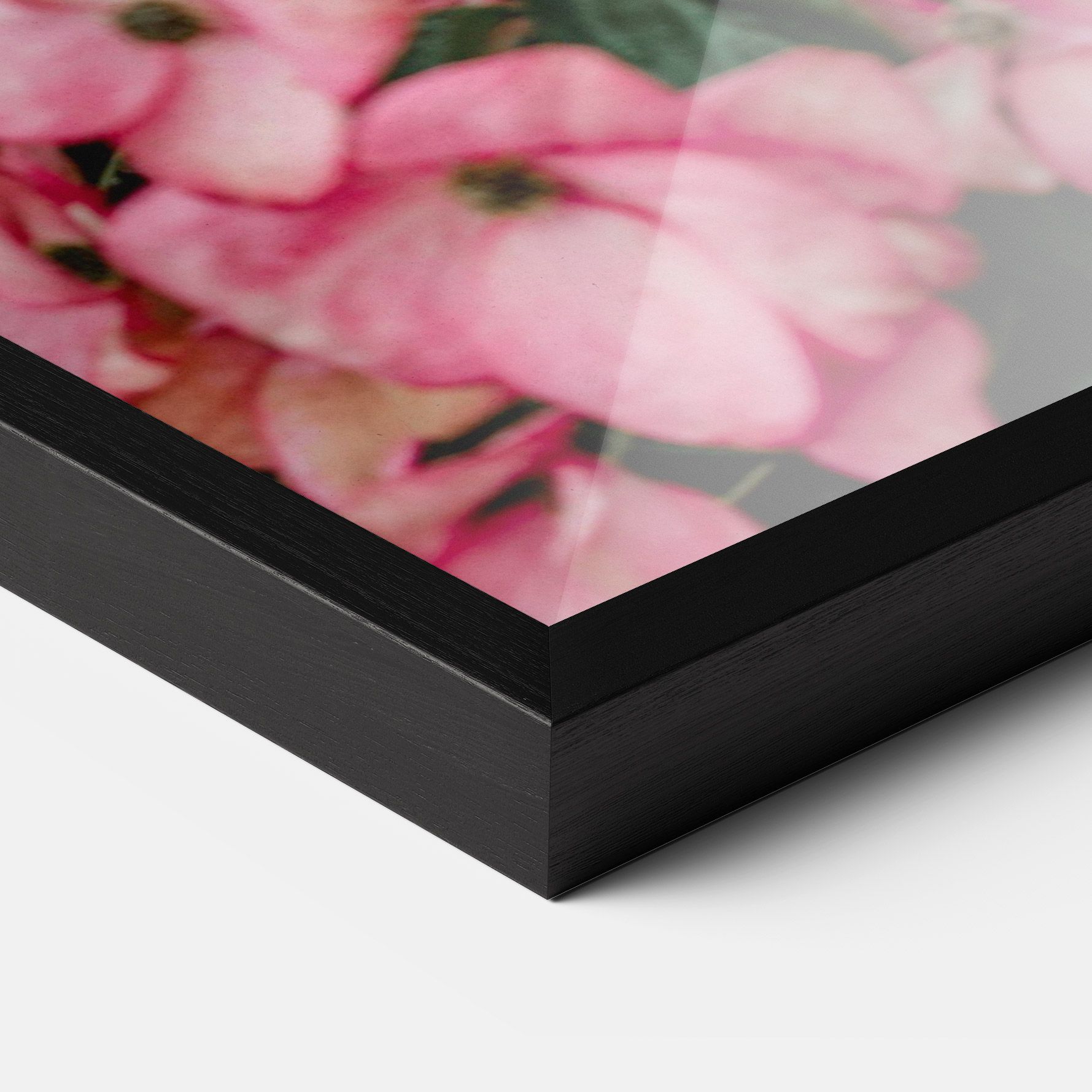 Pink Rose Flower Tree mockup 3