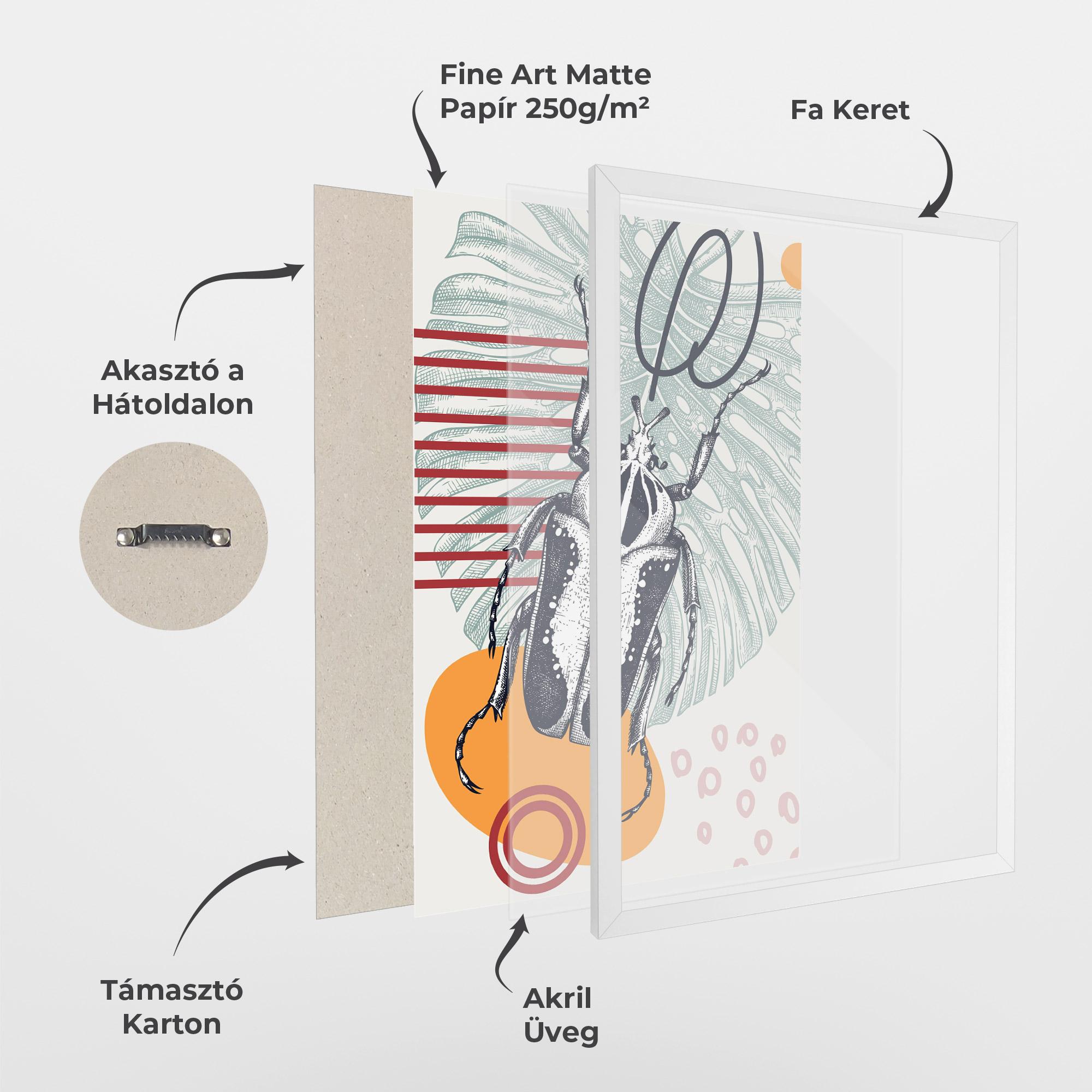 Keretezett Poszter Insects Art Collage mockup 1