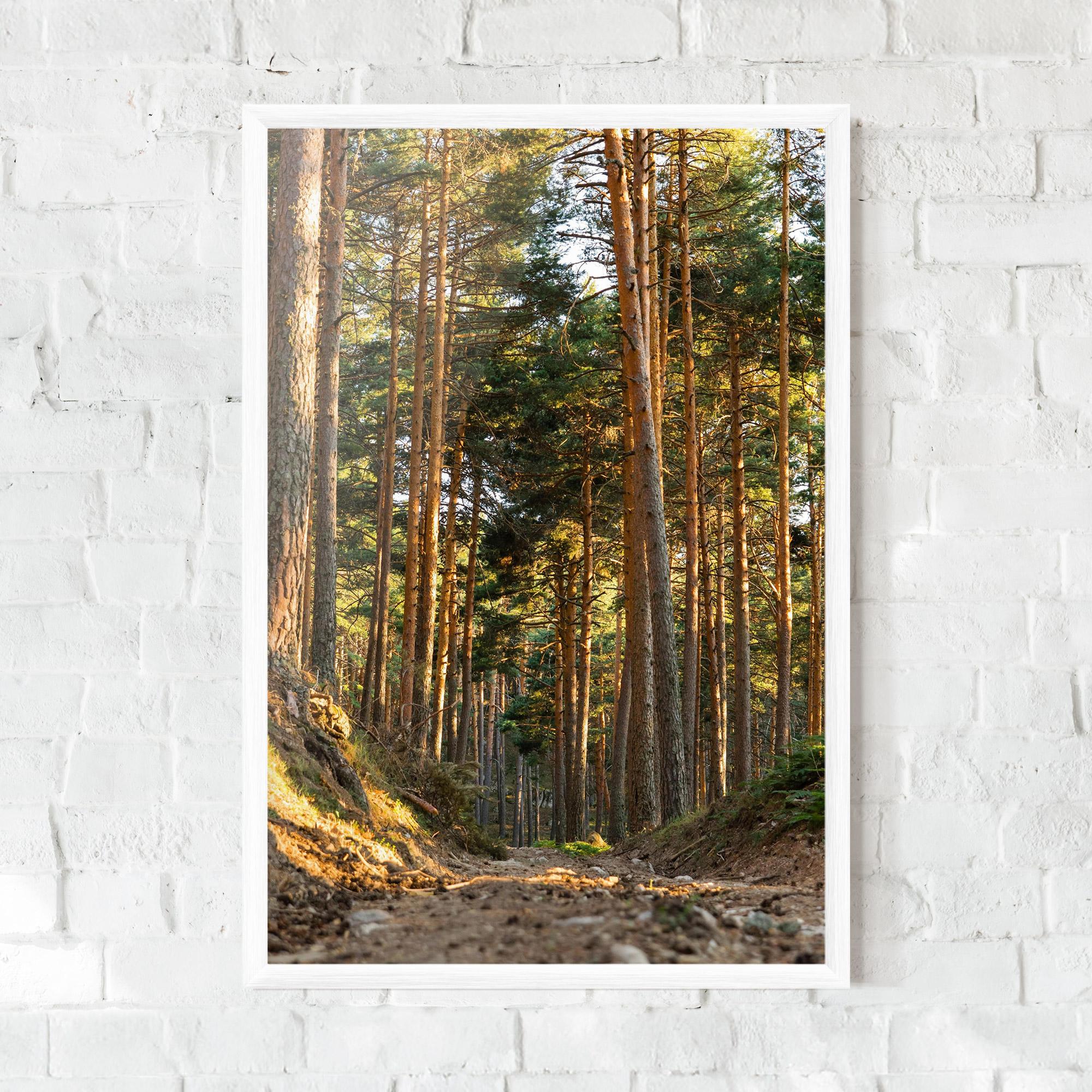 Keretezett Poszter Big Trees Forest mockup 0