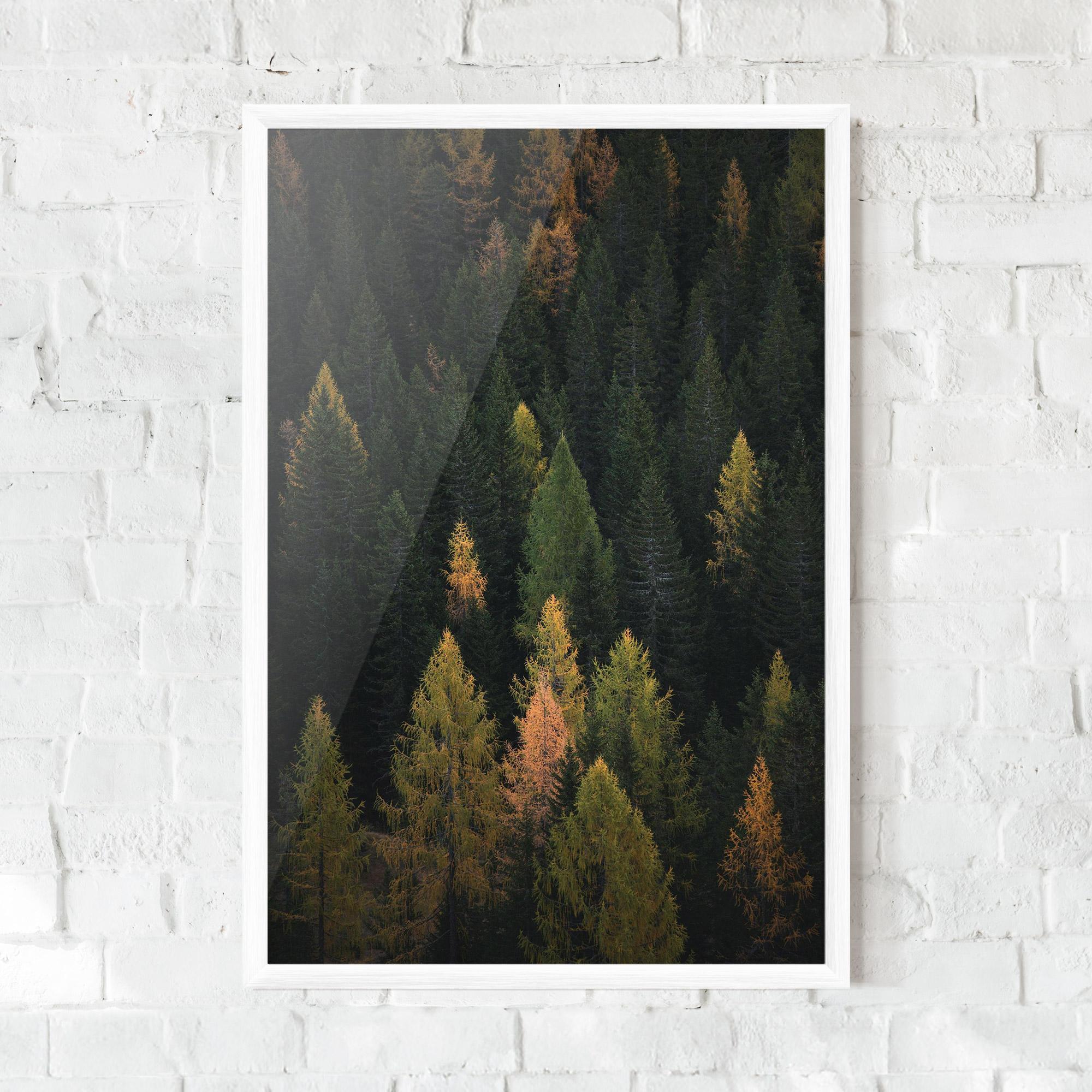 Keretezett Poszter Color Mix Tree mockup 0