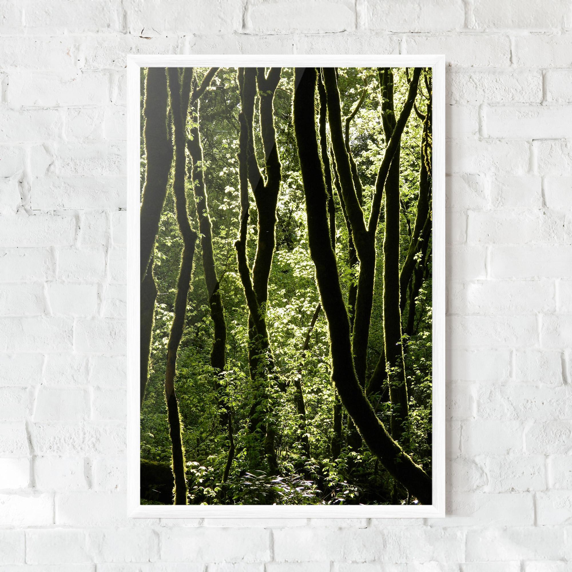 Keretezett Poszter Forest Black Trees mockup 0