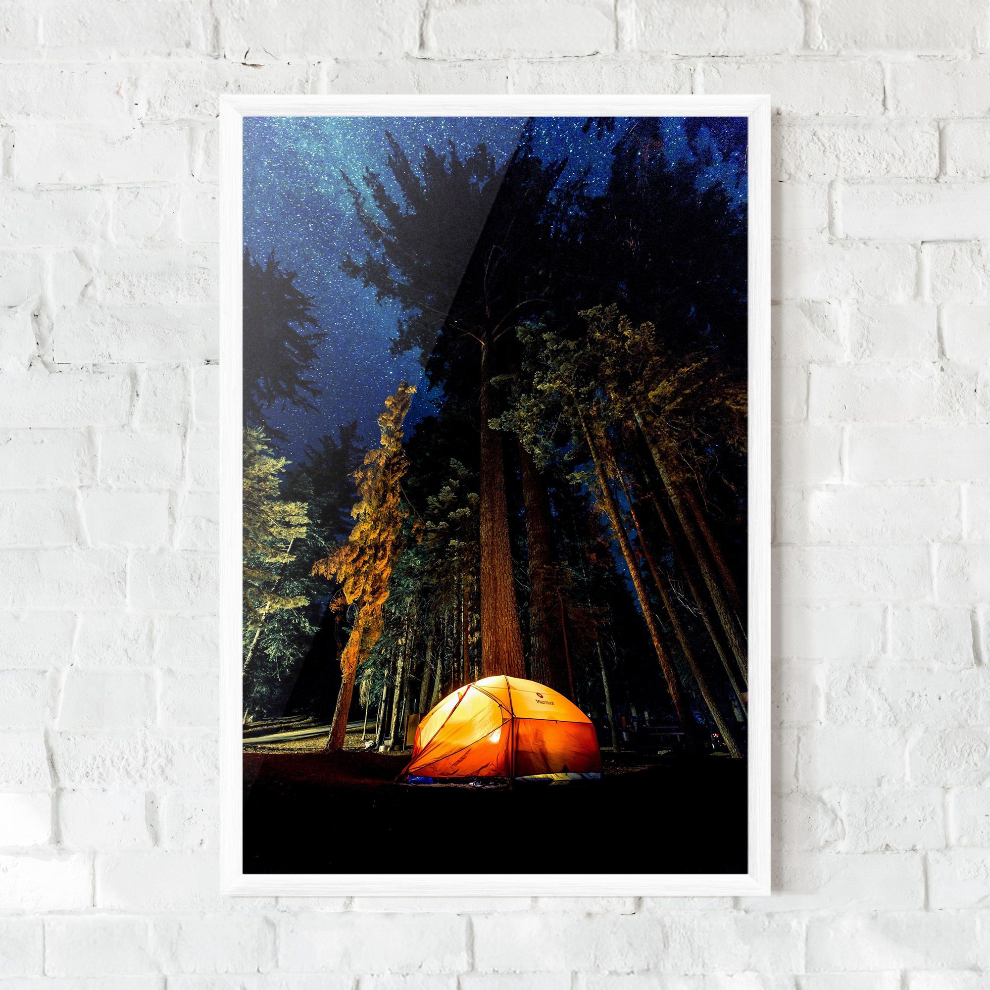 Forest Trip mockup 0