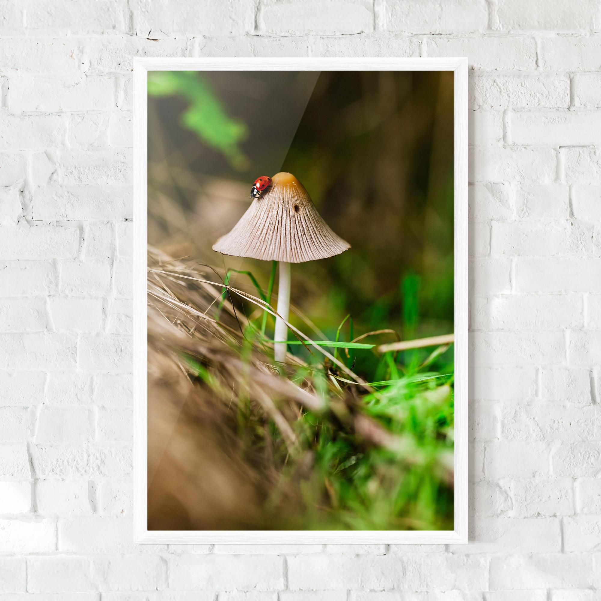Keretezett Poszter Mushroom Forest mockup 0
