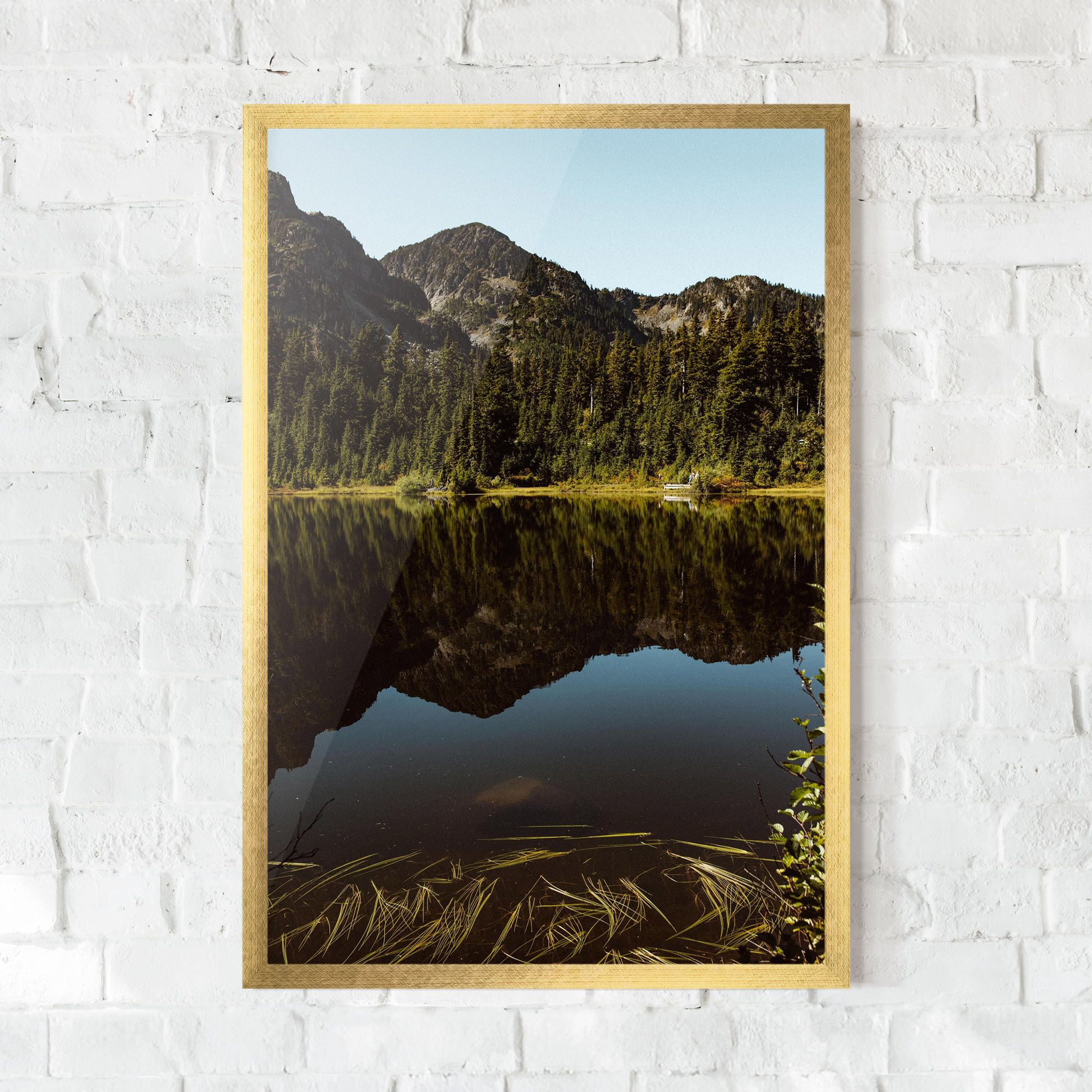 Big Lake Mountain mockup 0