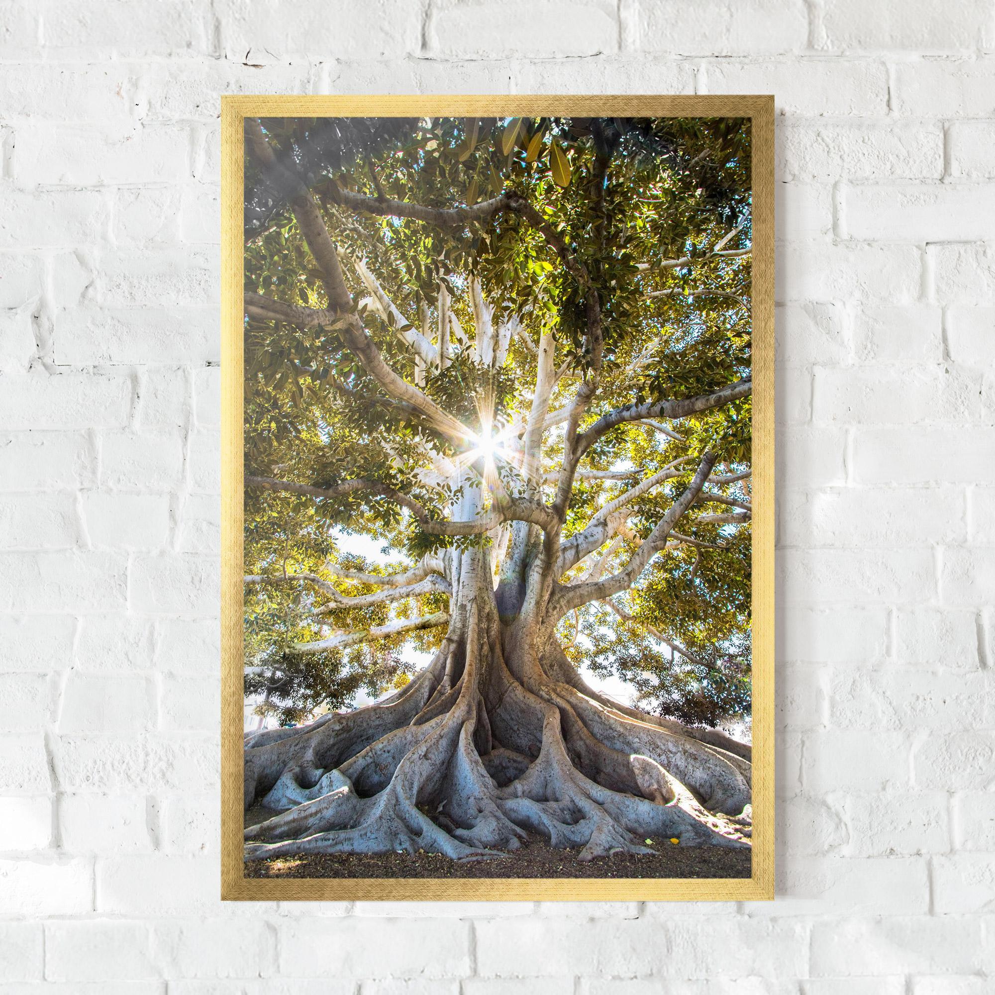 Keretezett Poszter Big Old Tree mockup 0