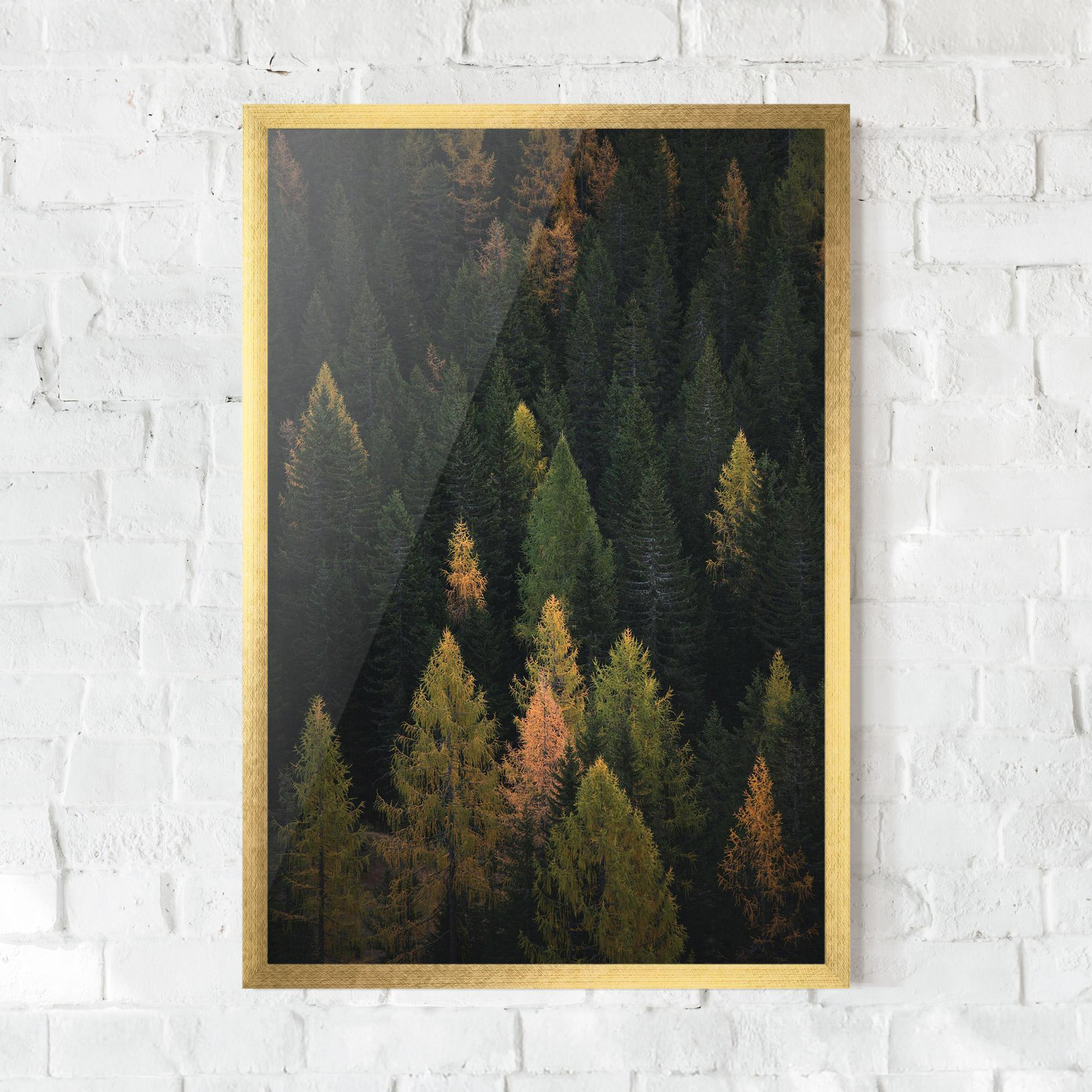 Keretezett Poszter Color Mix Tree mockup 0