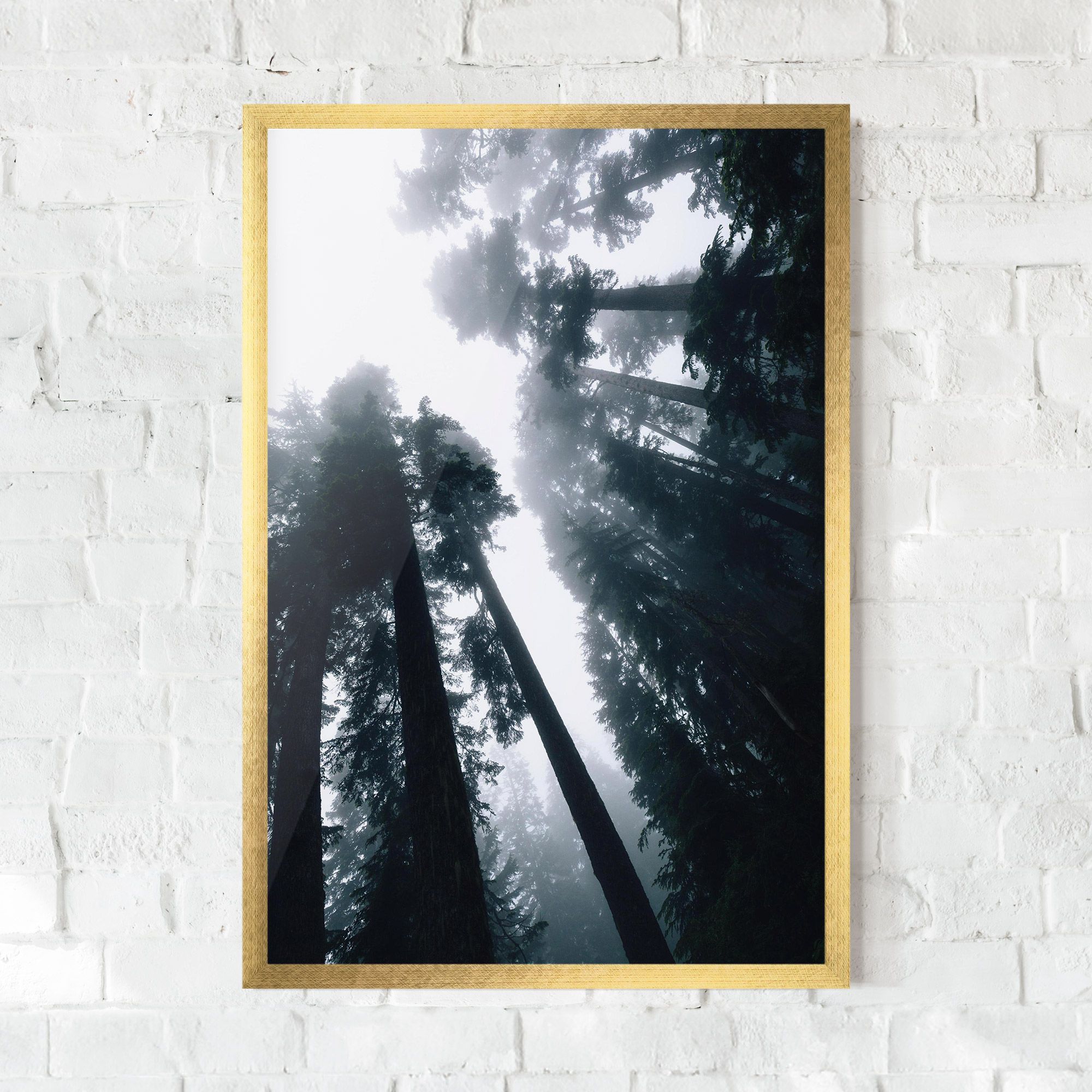 Foggy Big Trees mockup 0