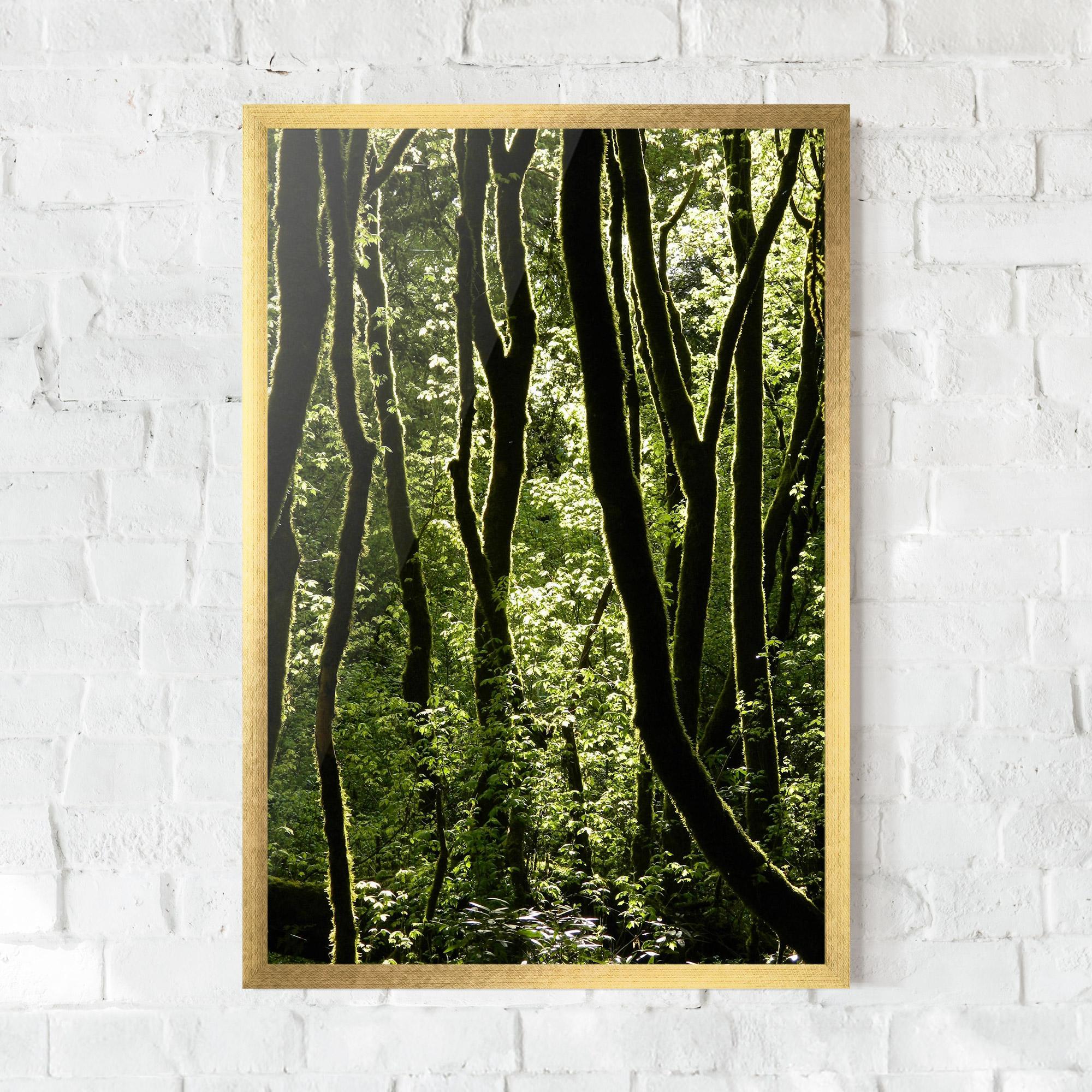 Keretezett Poszter Forest Black Trees mockup 0