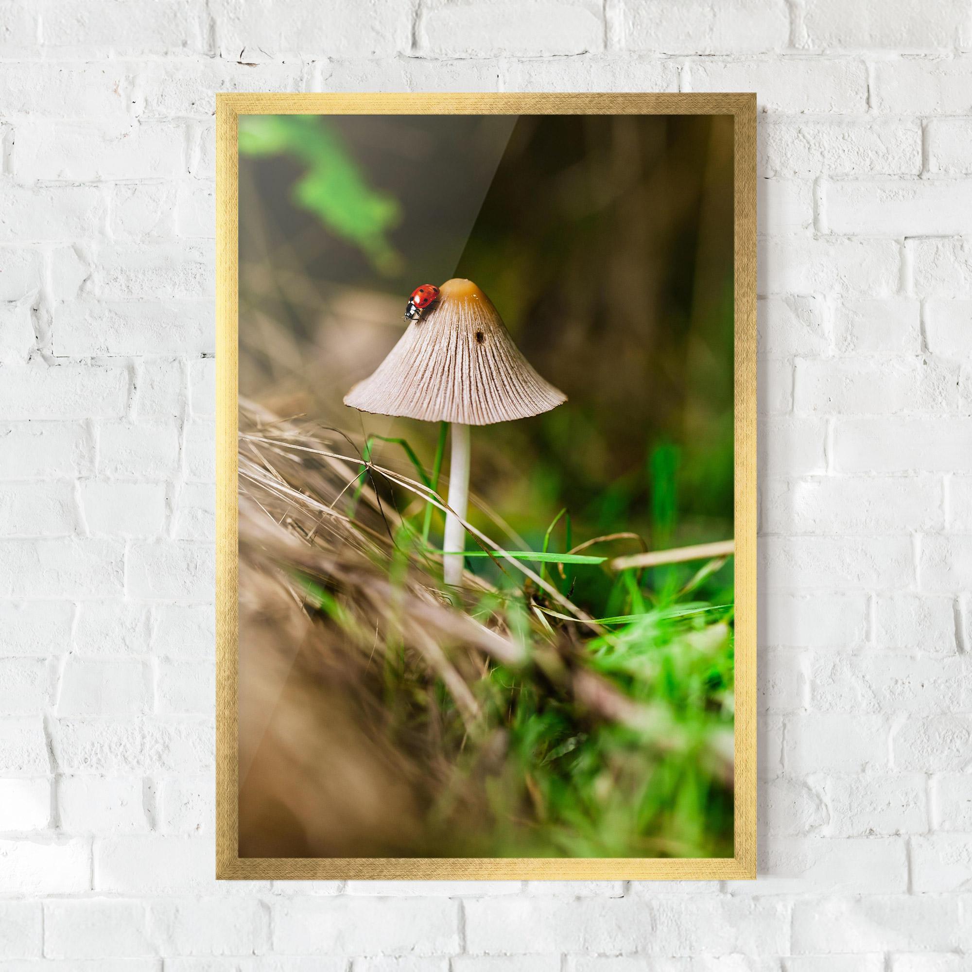 Keretezett Poszter Mushroom Forest mockup 0