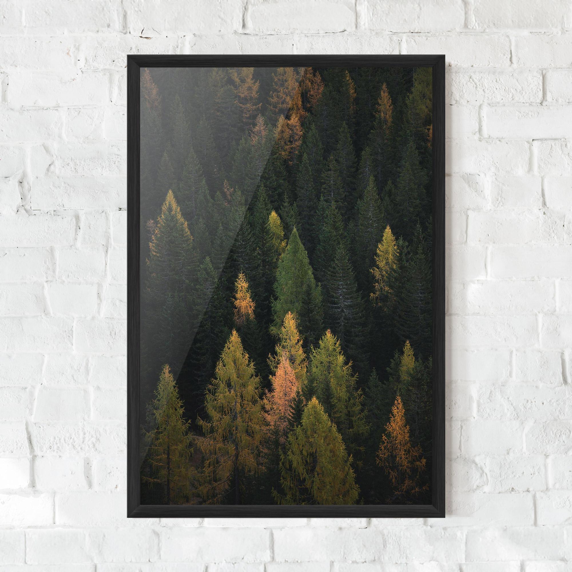 Keretezett Poszter Color Mix Tree mockup 0