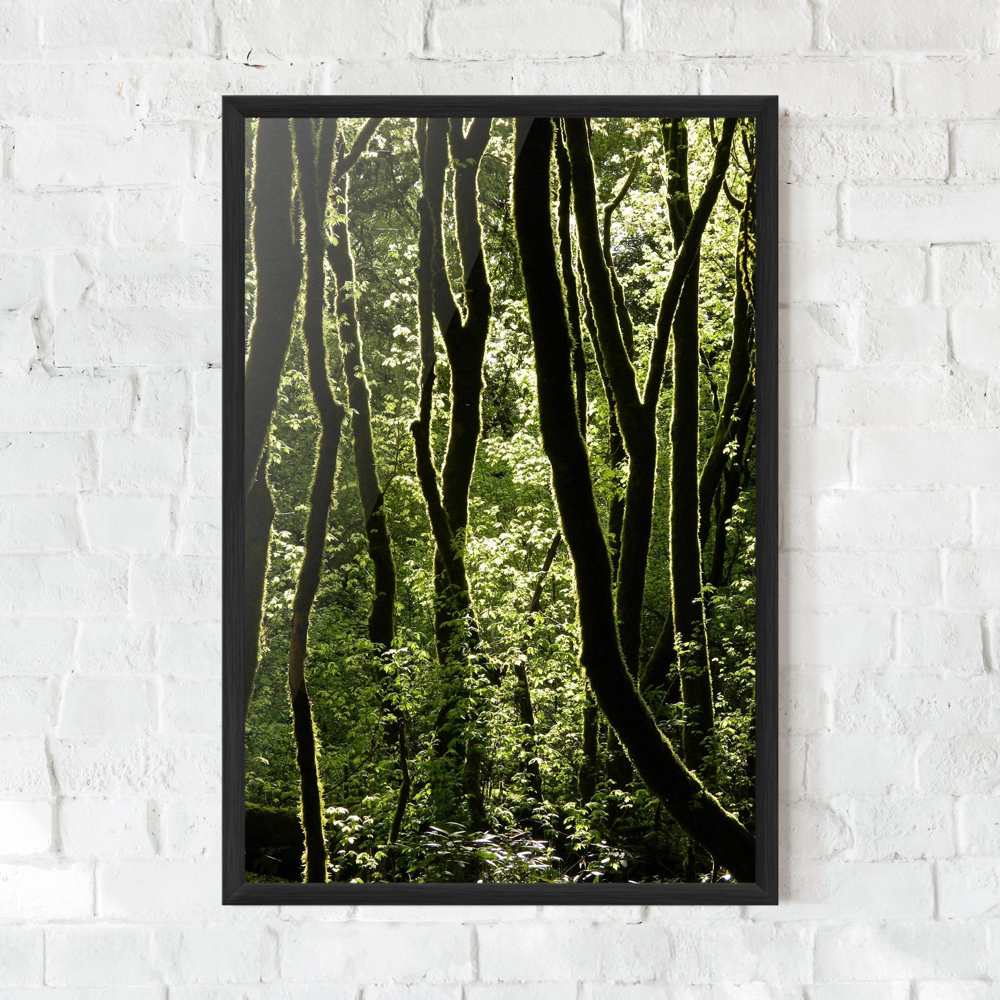 Forest Black Trees mockup 0