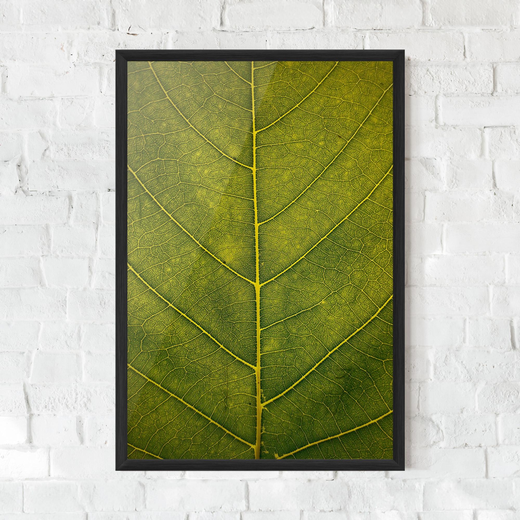 Keretezett Poszter Leaf Closeup Forest mockup 0