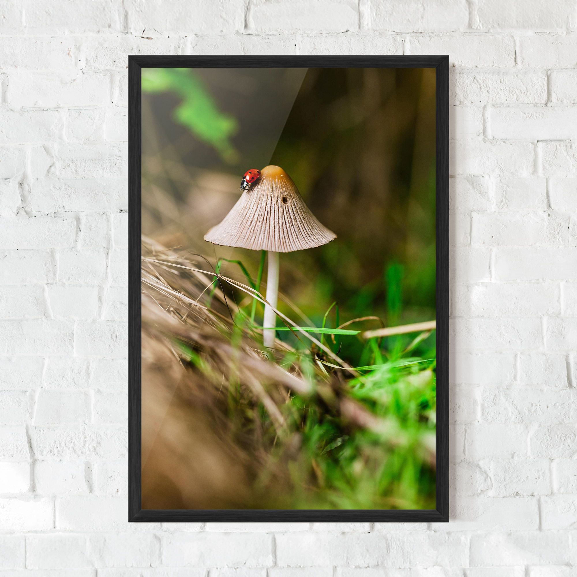 Mushroom Forest mockup 0
